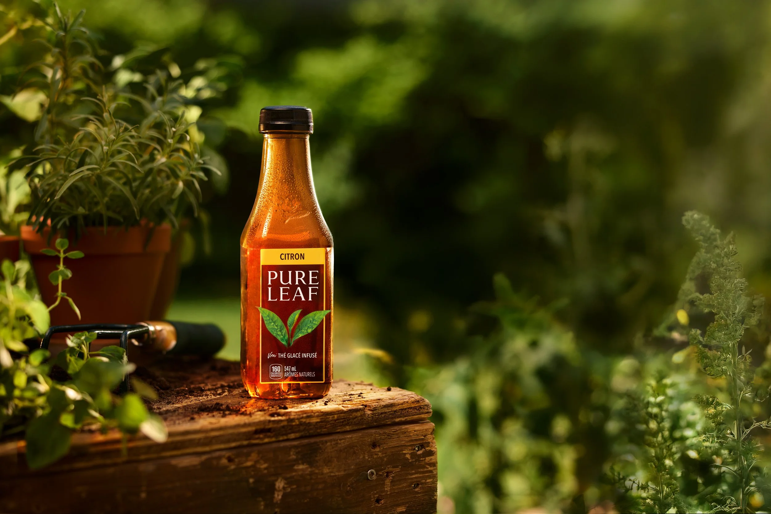 PURELEAF3406_EDIT_R1.jpg