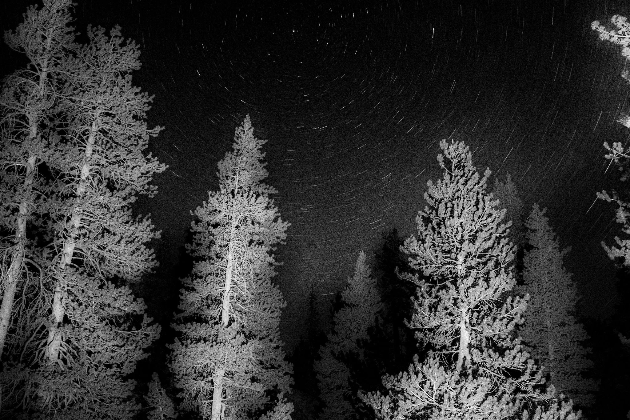 Cosmic Movement - Yosemite Valley 