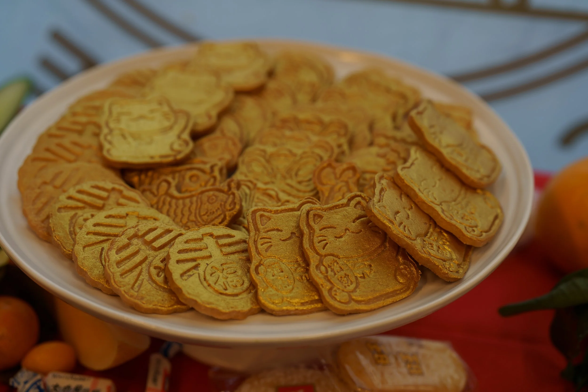 2026-02-15 A7C 153.jpg