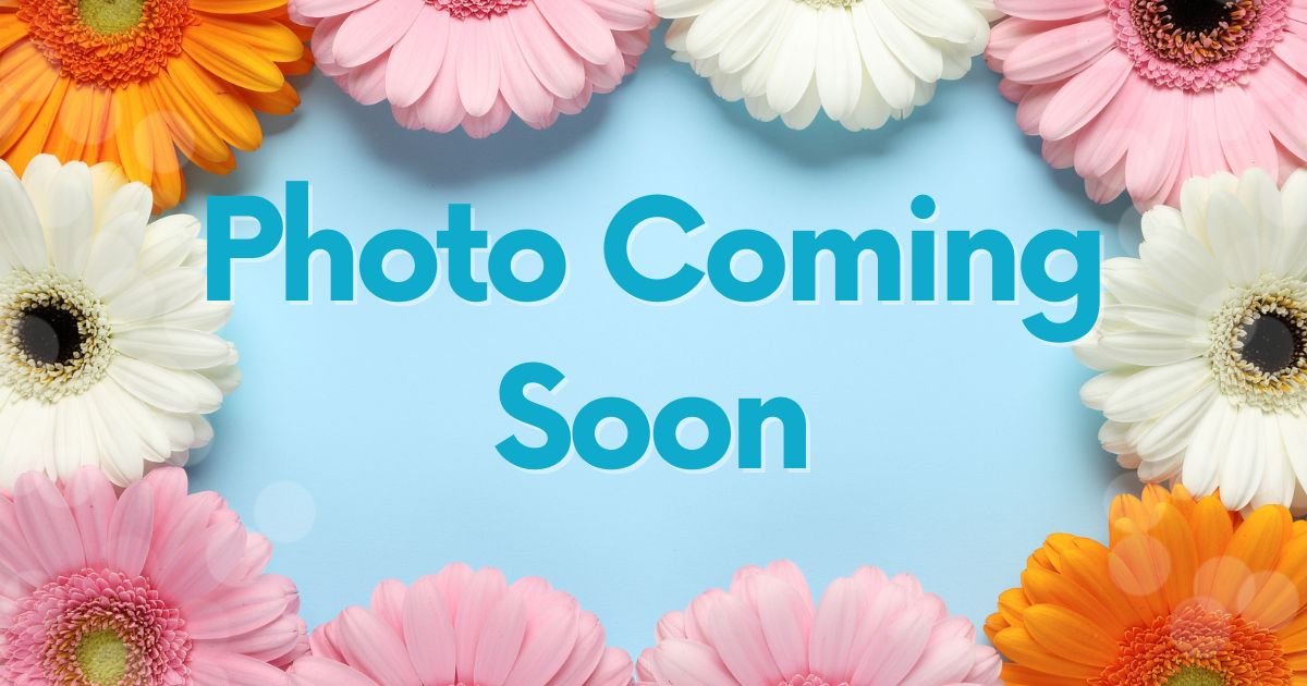 Photo Coming Soon (1).jpg
