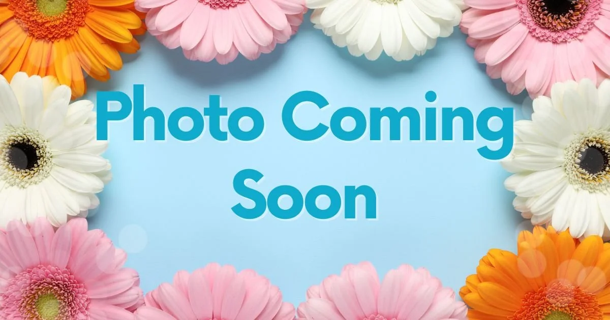Photo Coming Soon.jpg