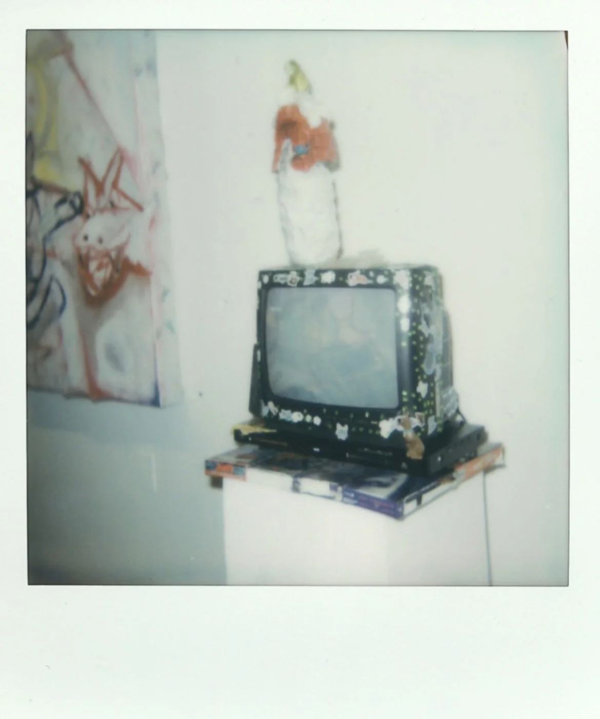 polaroid