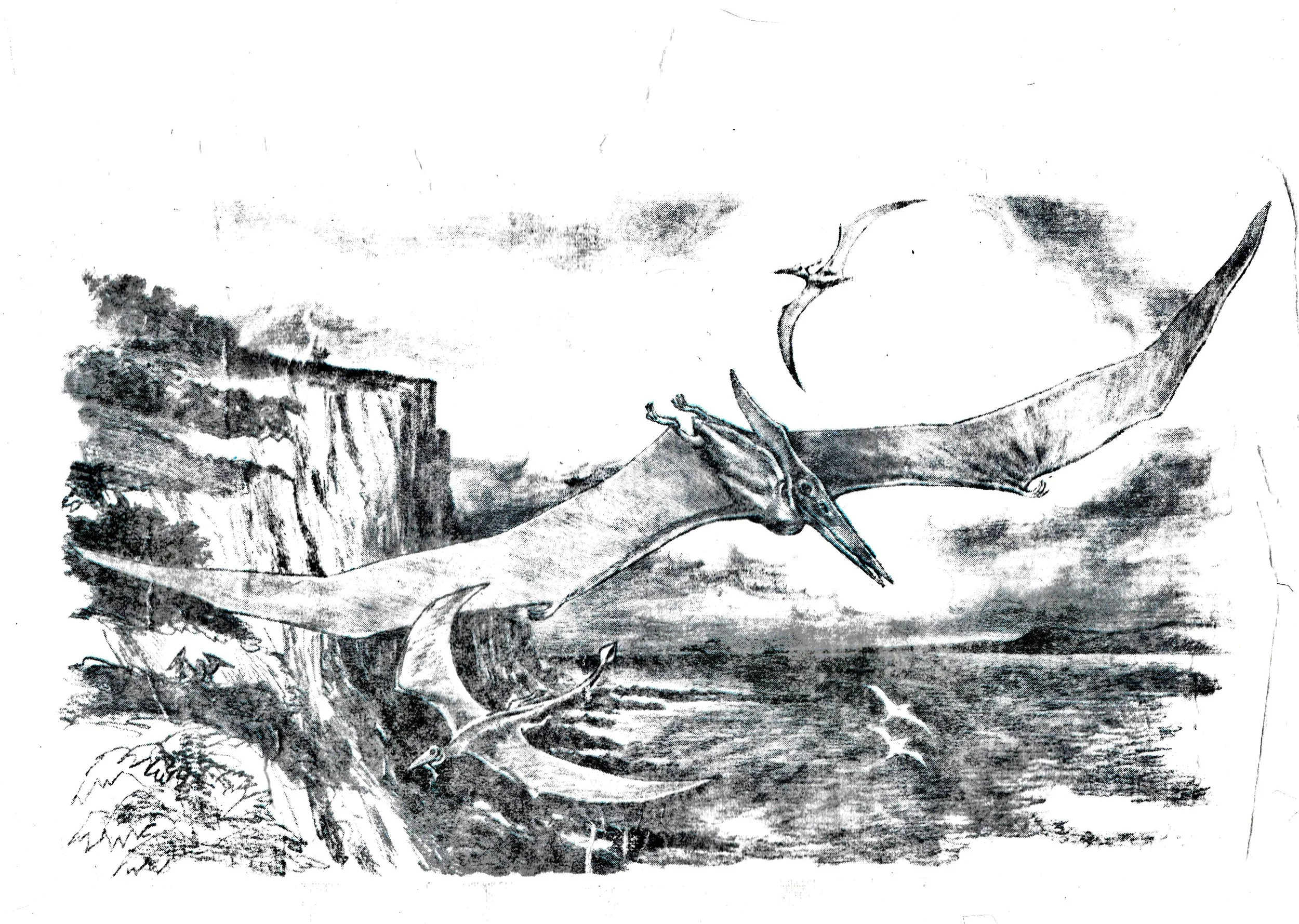 Scan 30.jpg