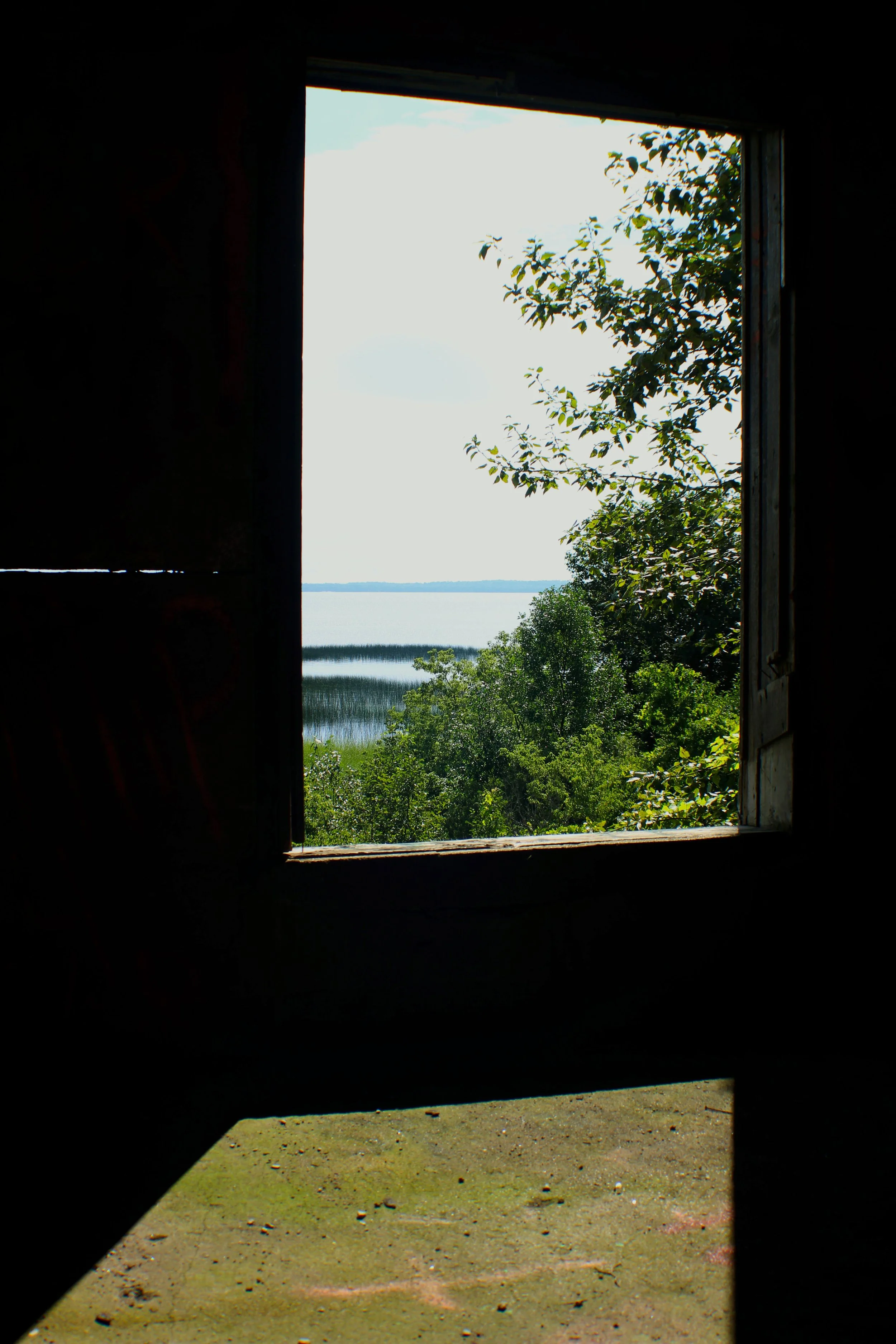 IMG_8024 copy.jpg