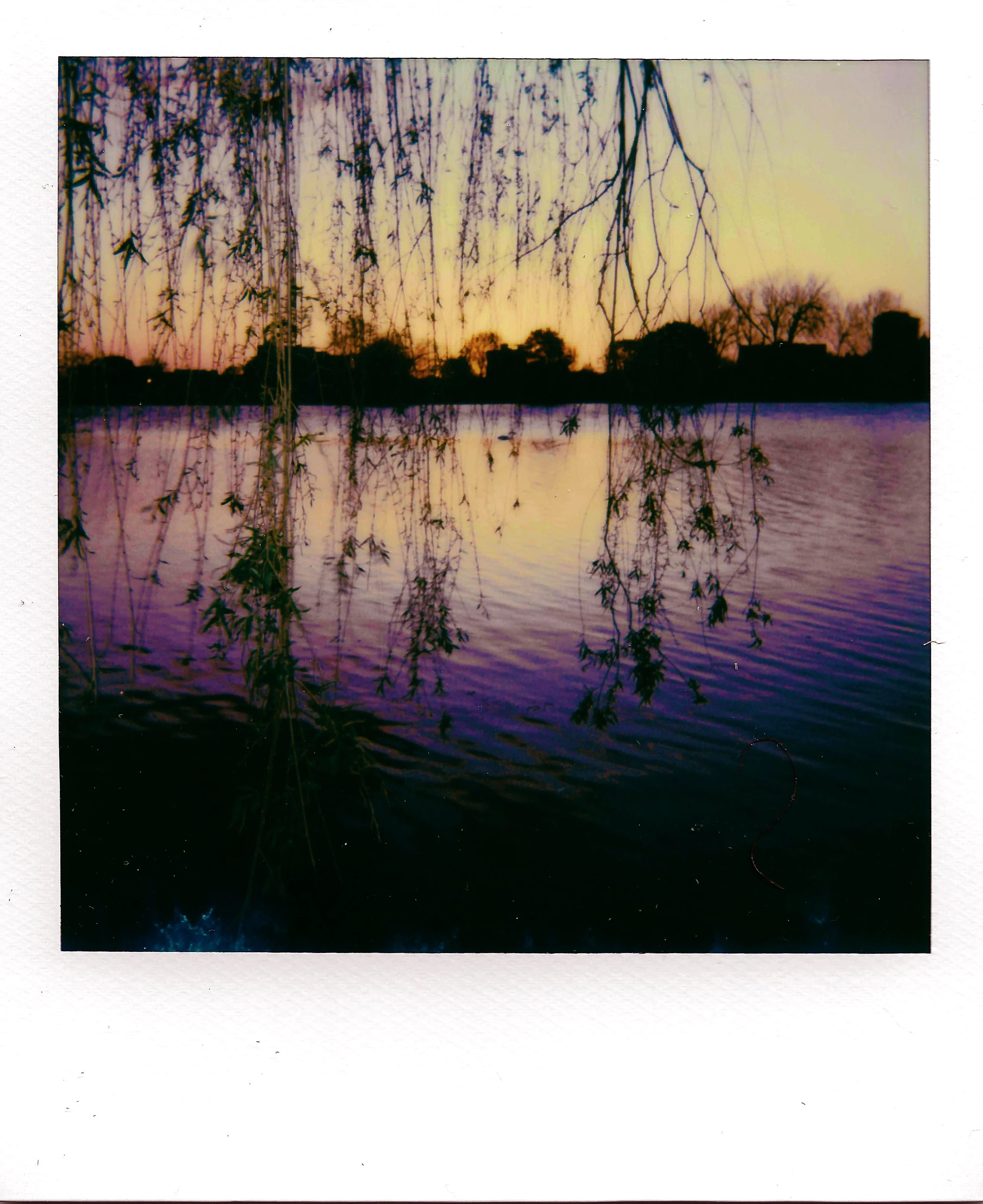sunset.jpg