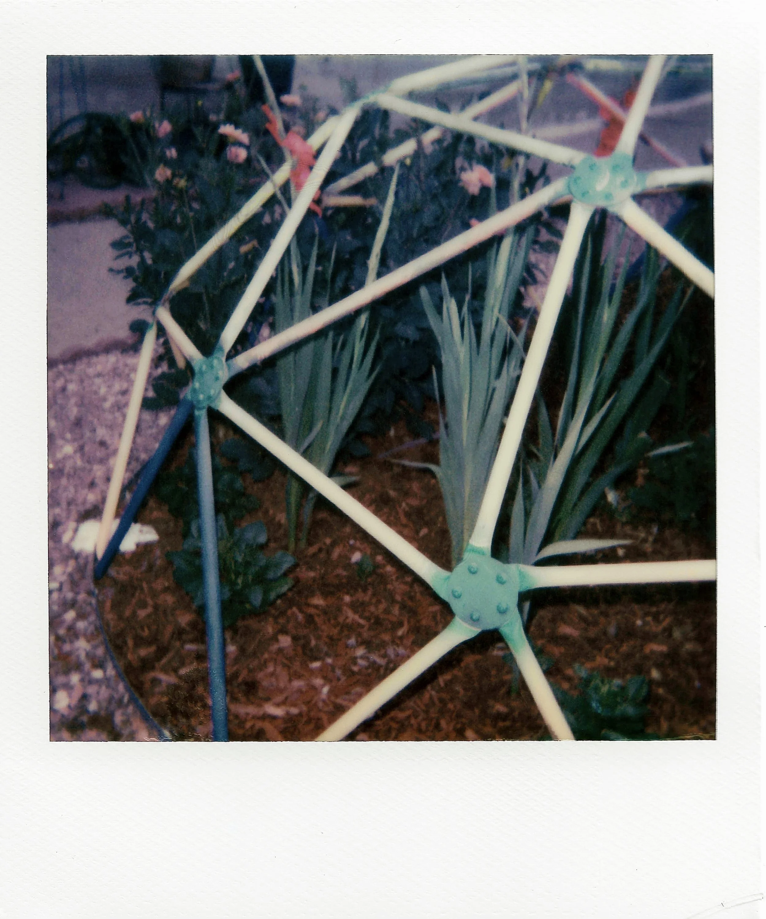coloradostructure.jpg
