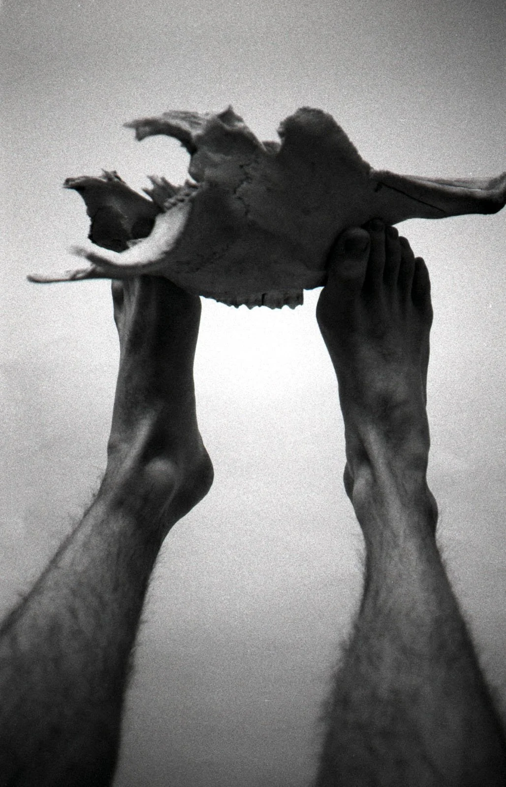 joefeet1.jpg