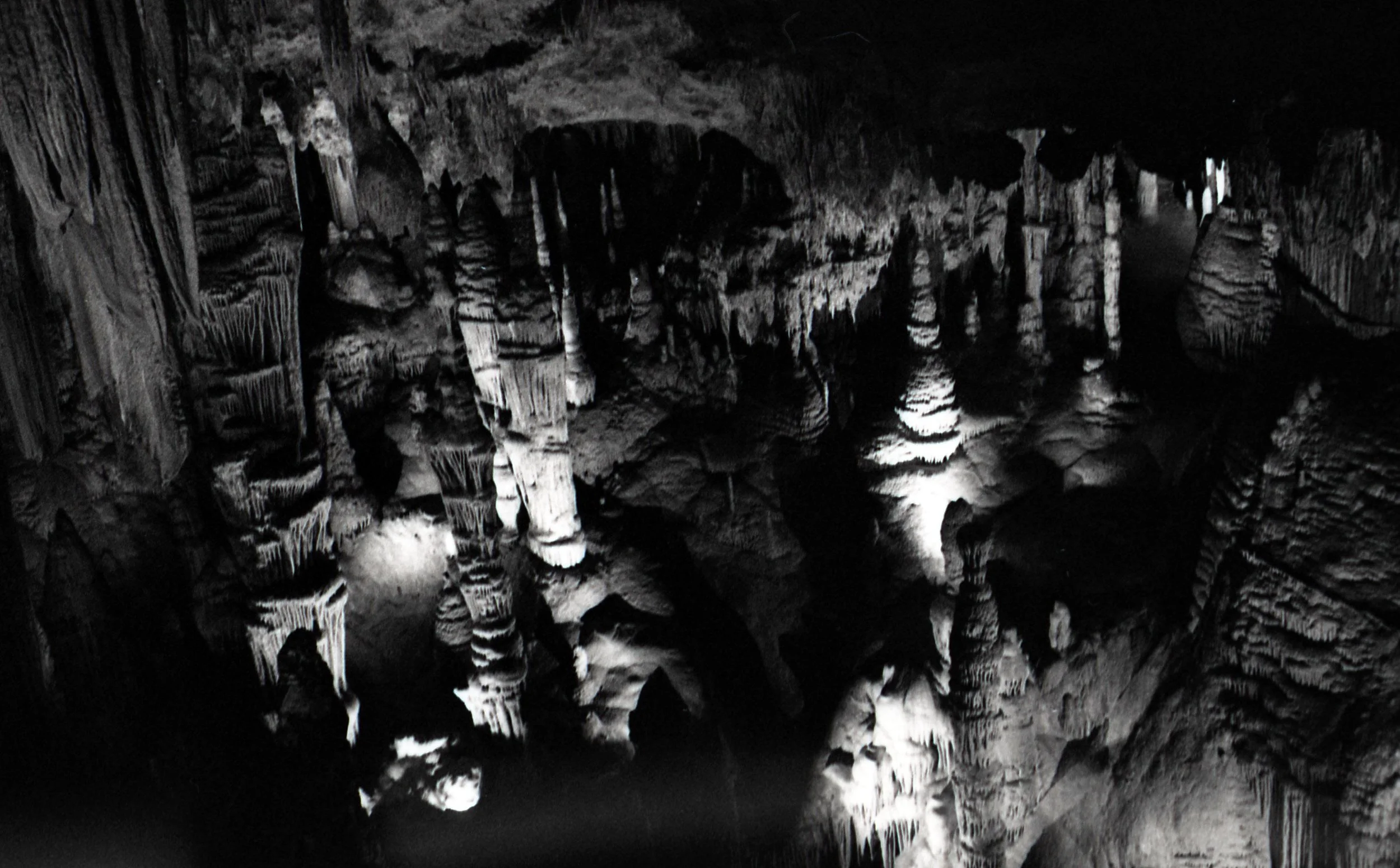 img010.jpg