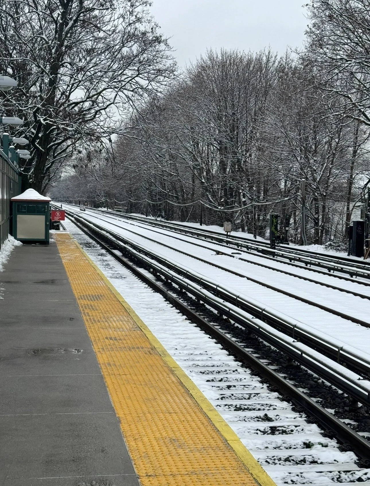 Day In The Life of a Tired Worker Bee