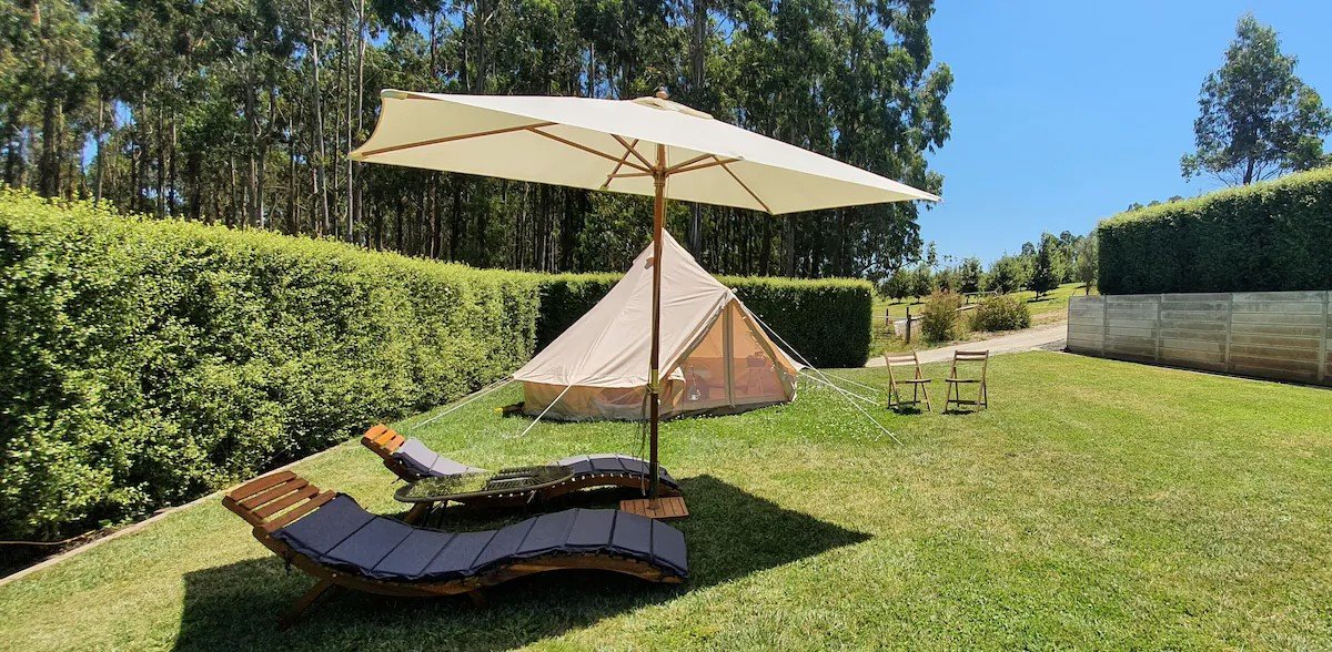 Glamping in an Olive Grove