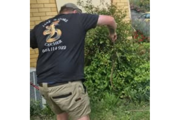 Snake Catcher - Jake