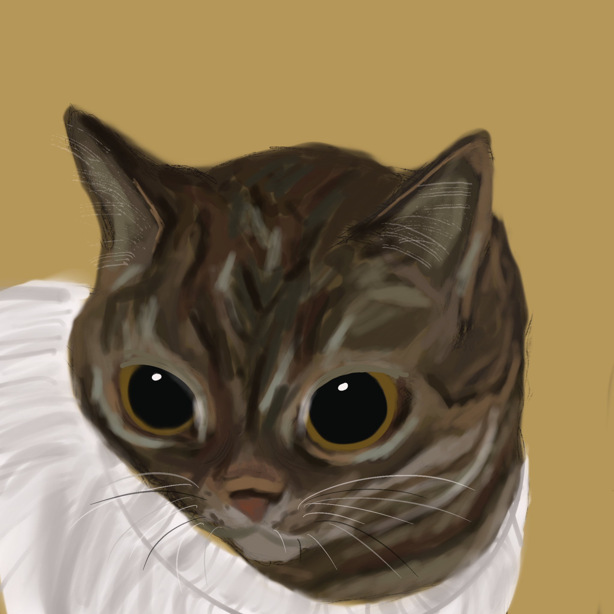 Untitled_Artwork (1).png