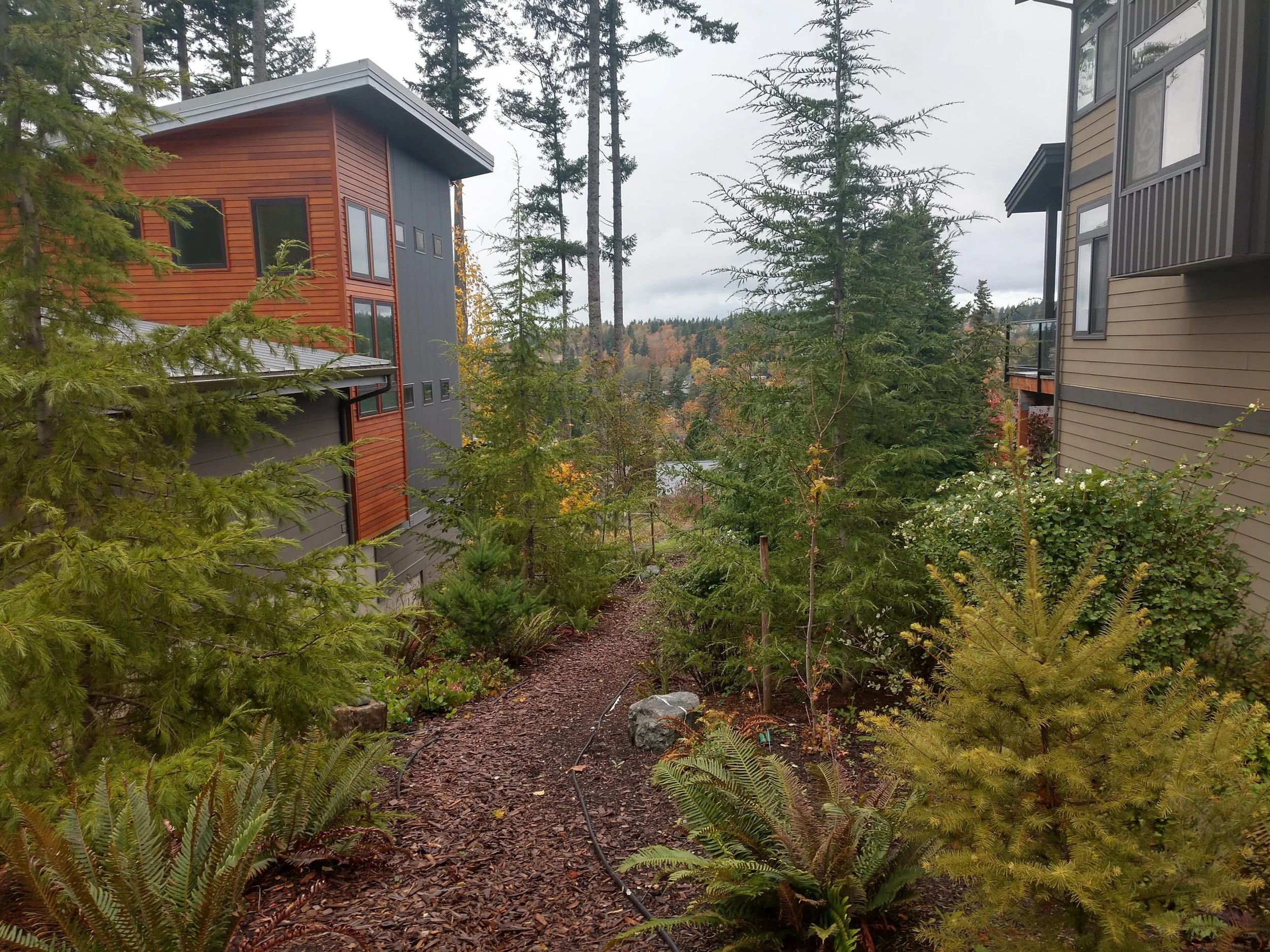 IMG_20191017_121914145_HDR.jpg