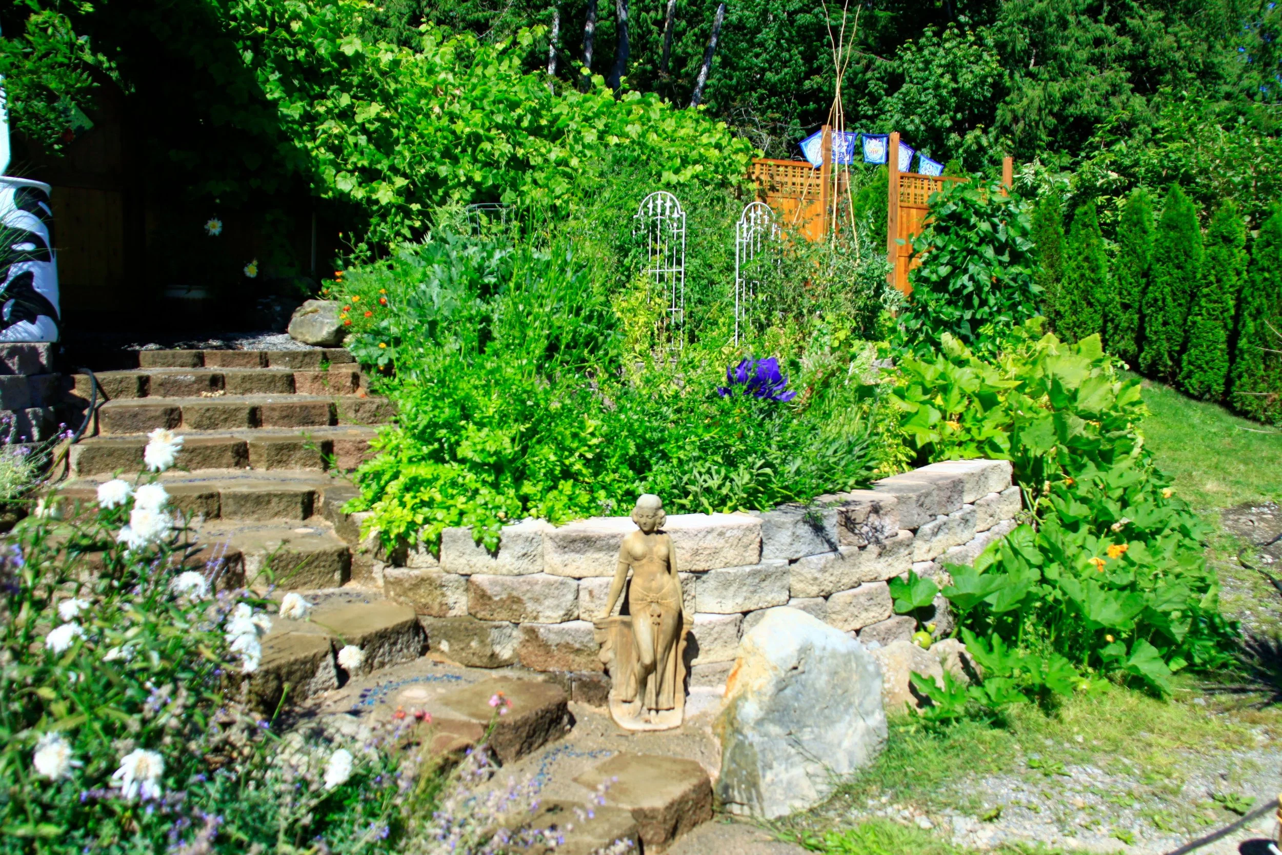 peter james full file of garden photos 334.JPG