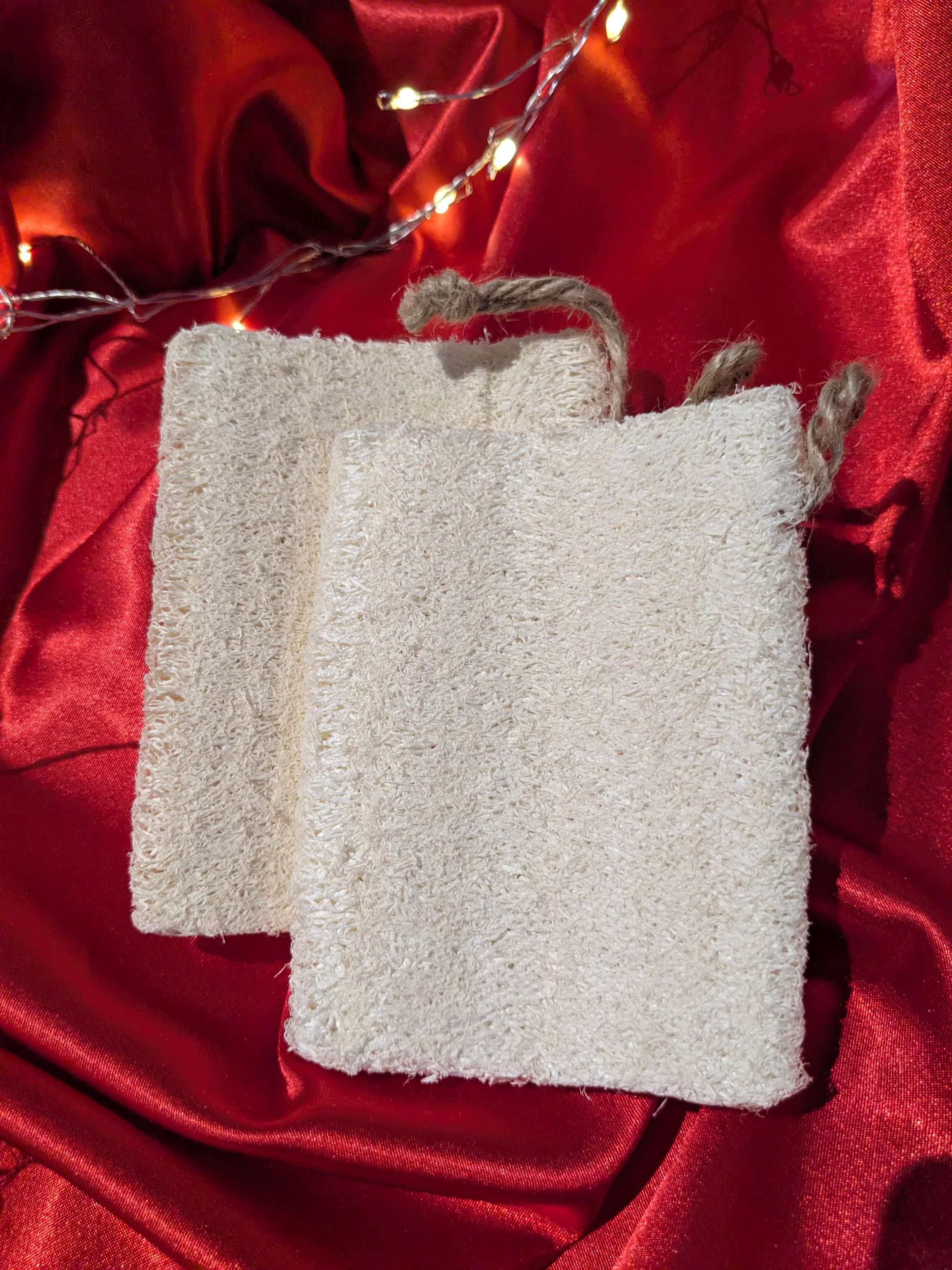 Soap Bags and Sponges