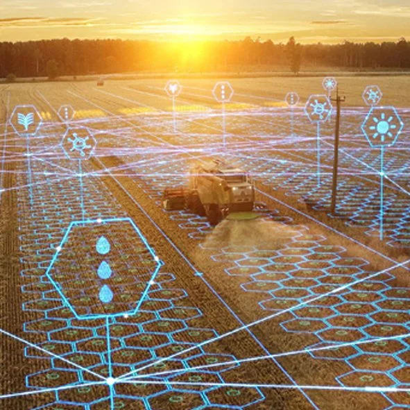 Leveraging IoT devices to mitigate workforce shortages and improve work health and safety