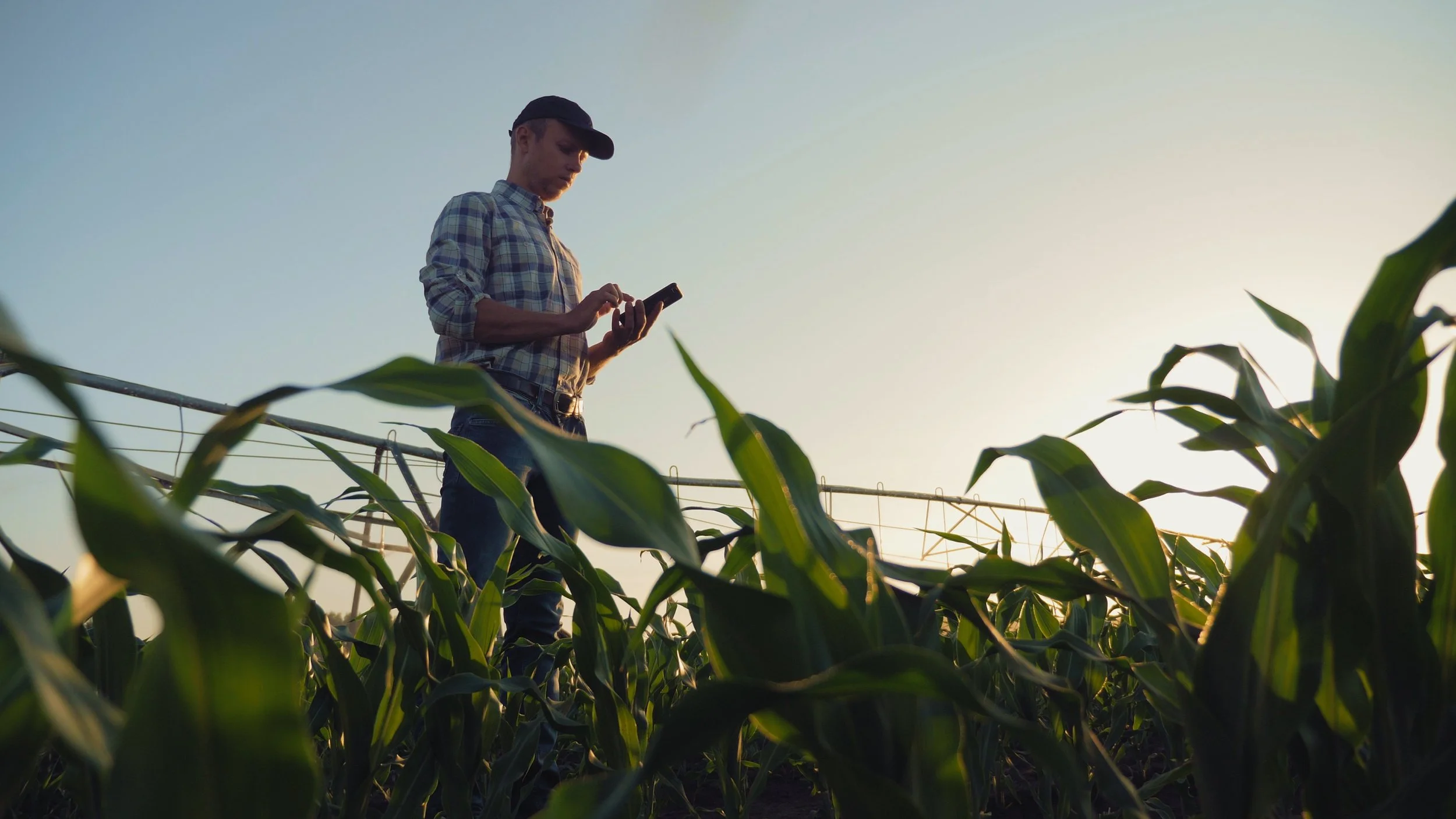 Farmer in corn field (shutterstock_1031679629) copy.jpg