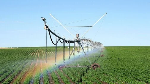 Nebraska On-Farm Research Network: Better Yields with Less Water
