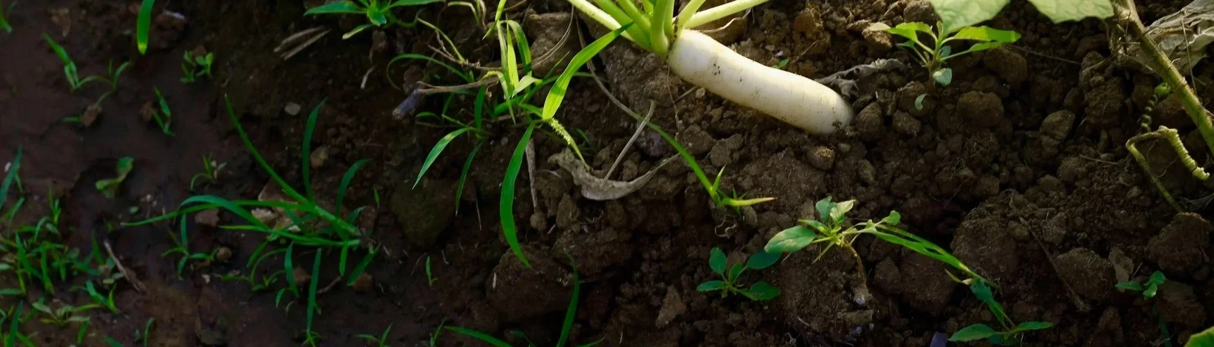 unsplash-image-GOqvT_8COTg (1).webp