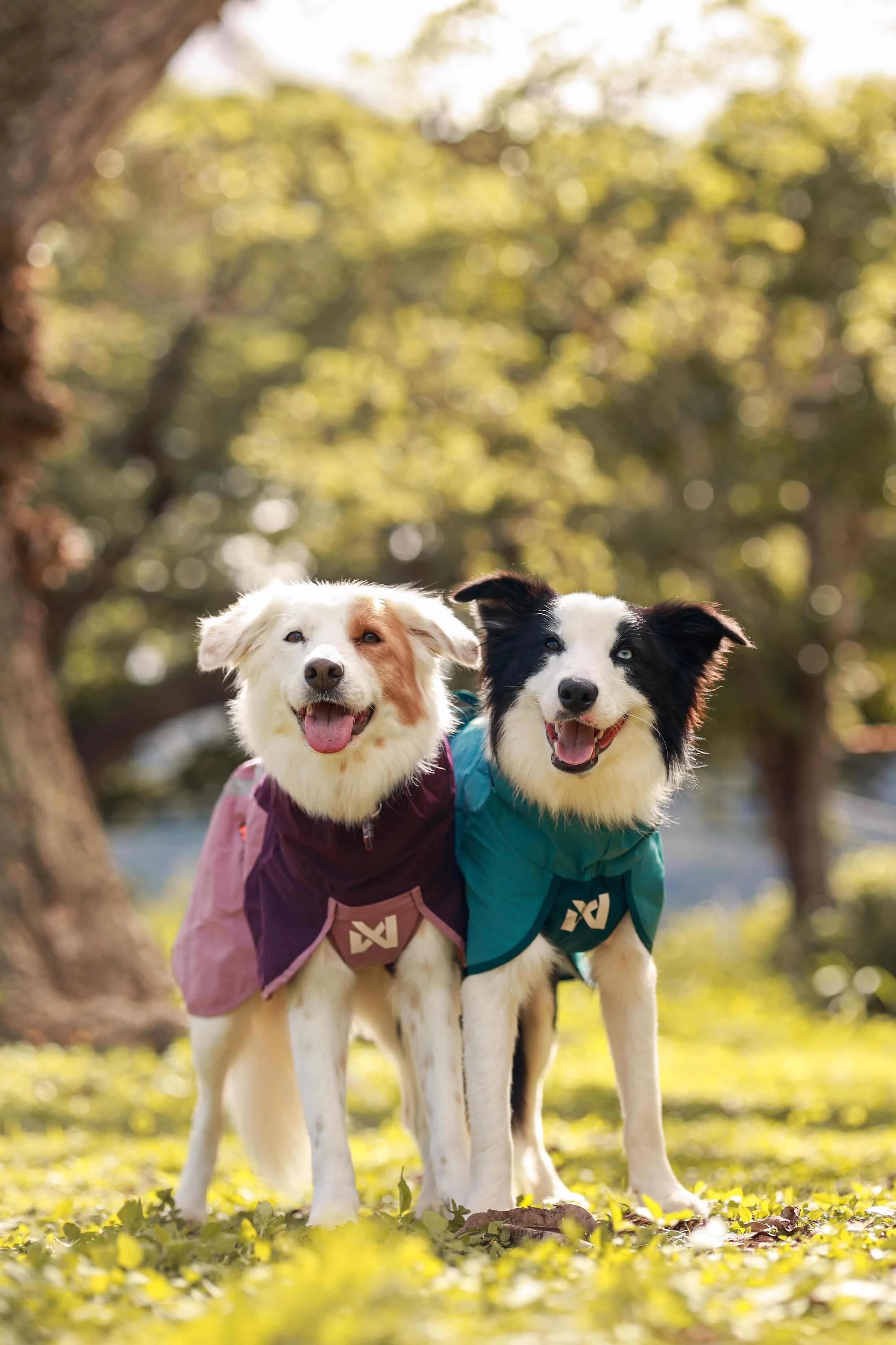                         Start Here: Raising the Standard