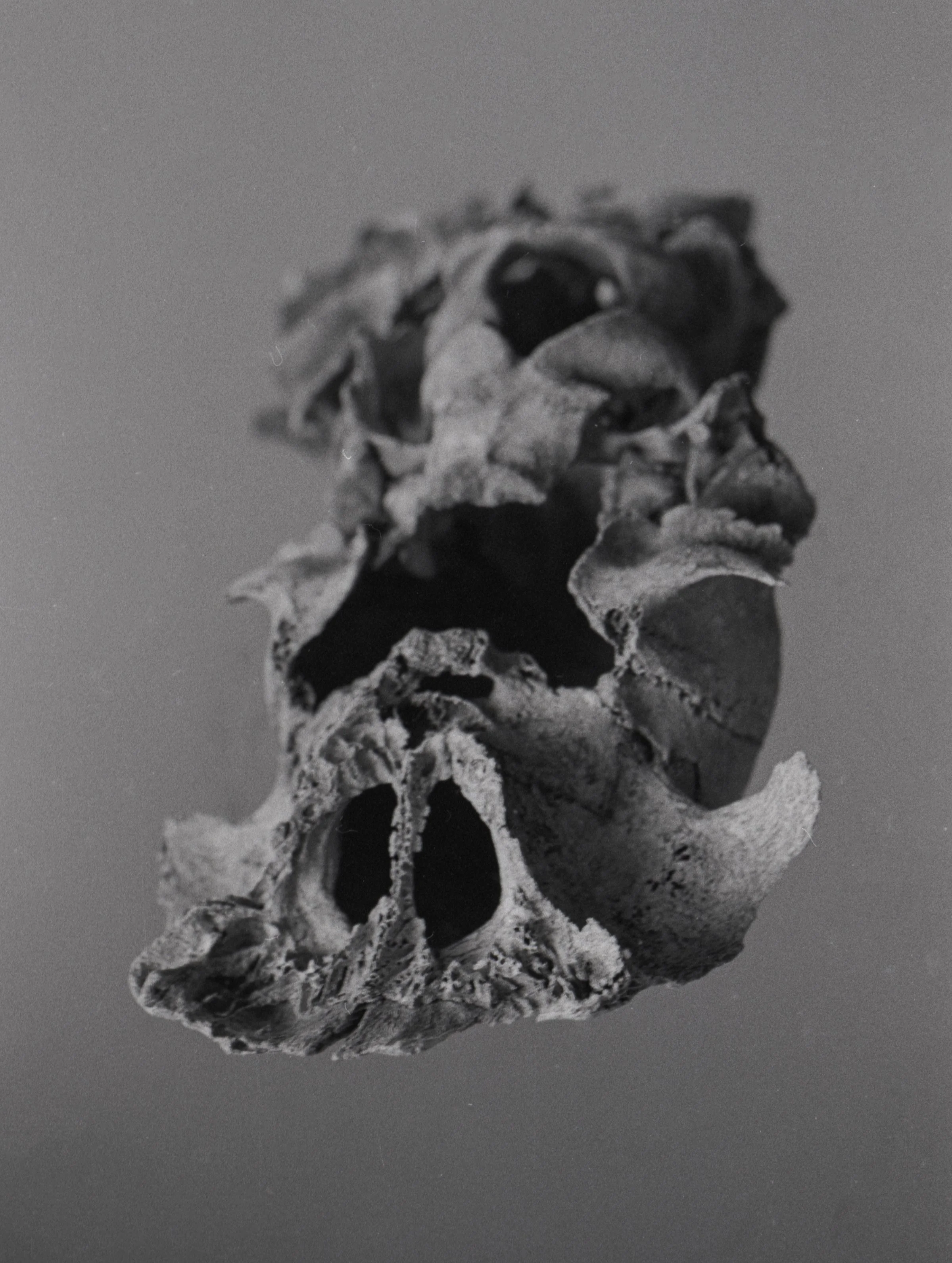 Portfolio 14 (11).jpg