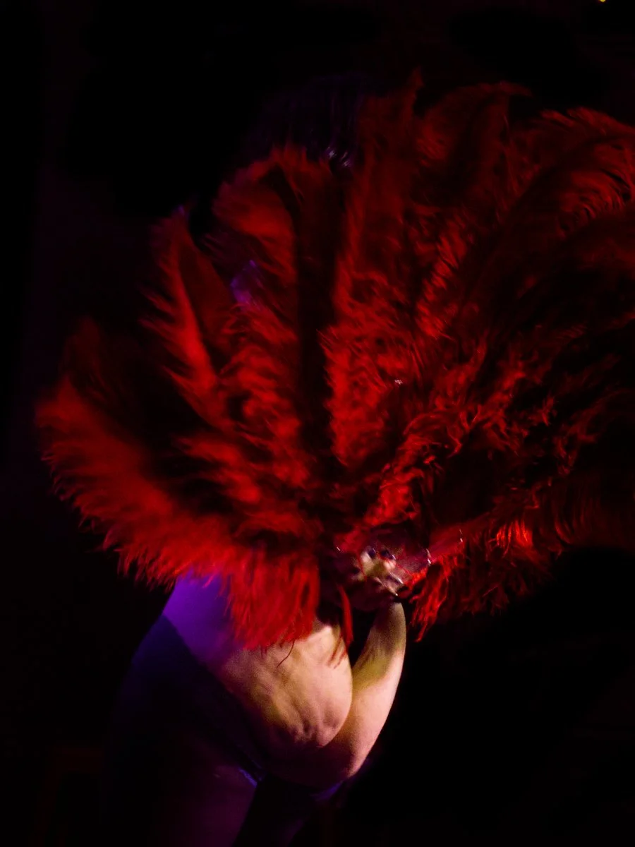 2026 Shimmy N' Shake for Survivors
Held by Her2 Revue
Canon EOS Rebel SL3
Performer: Zinnia Butterfly