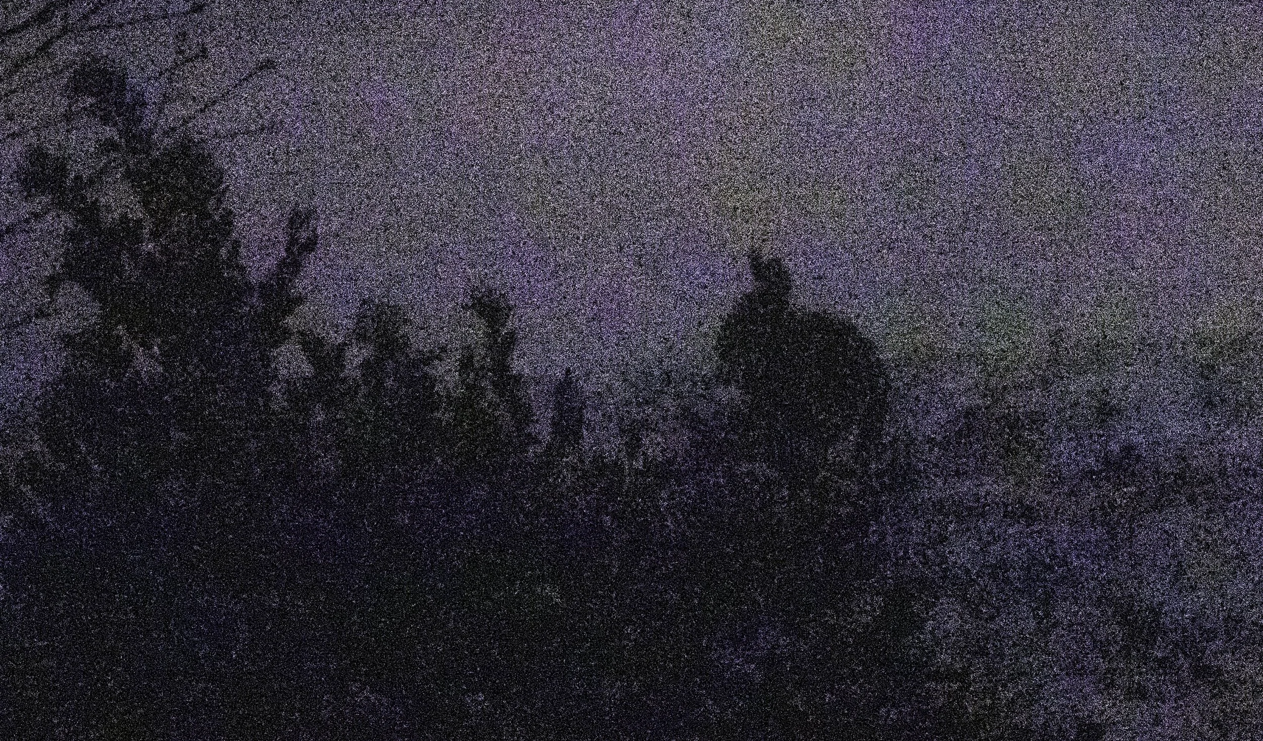 2025
Canon EOS Rebel SL3
High ISO