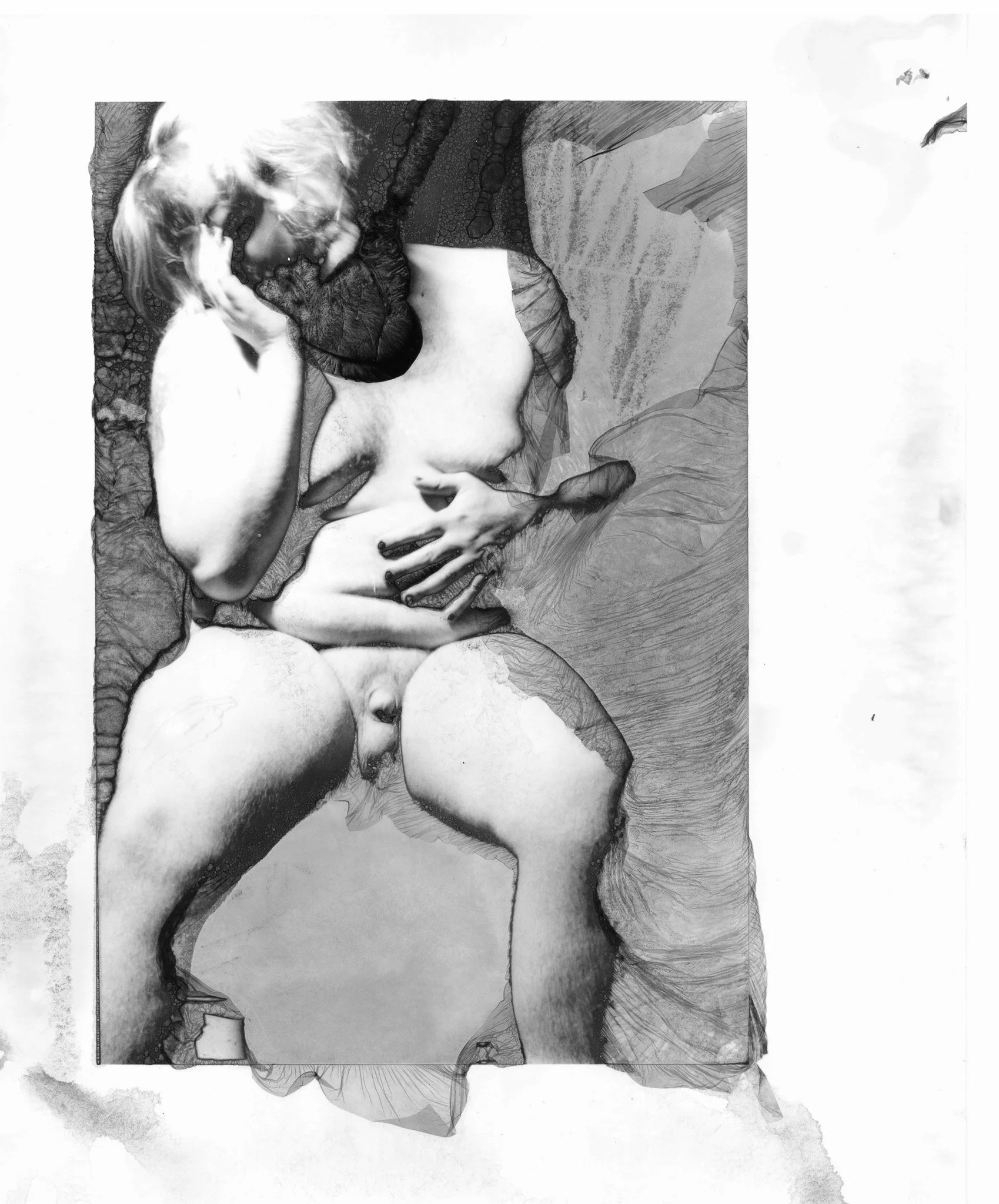 Silver Gelatin Print, Mordancaged (2023)