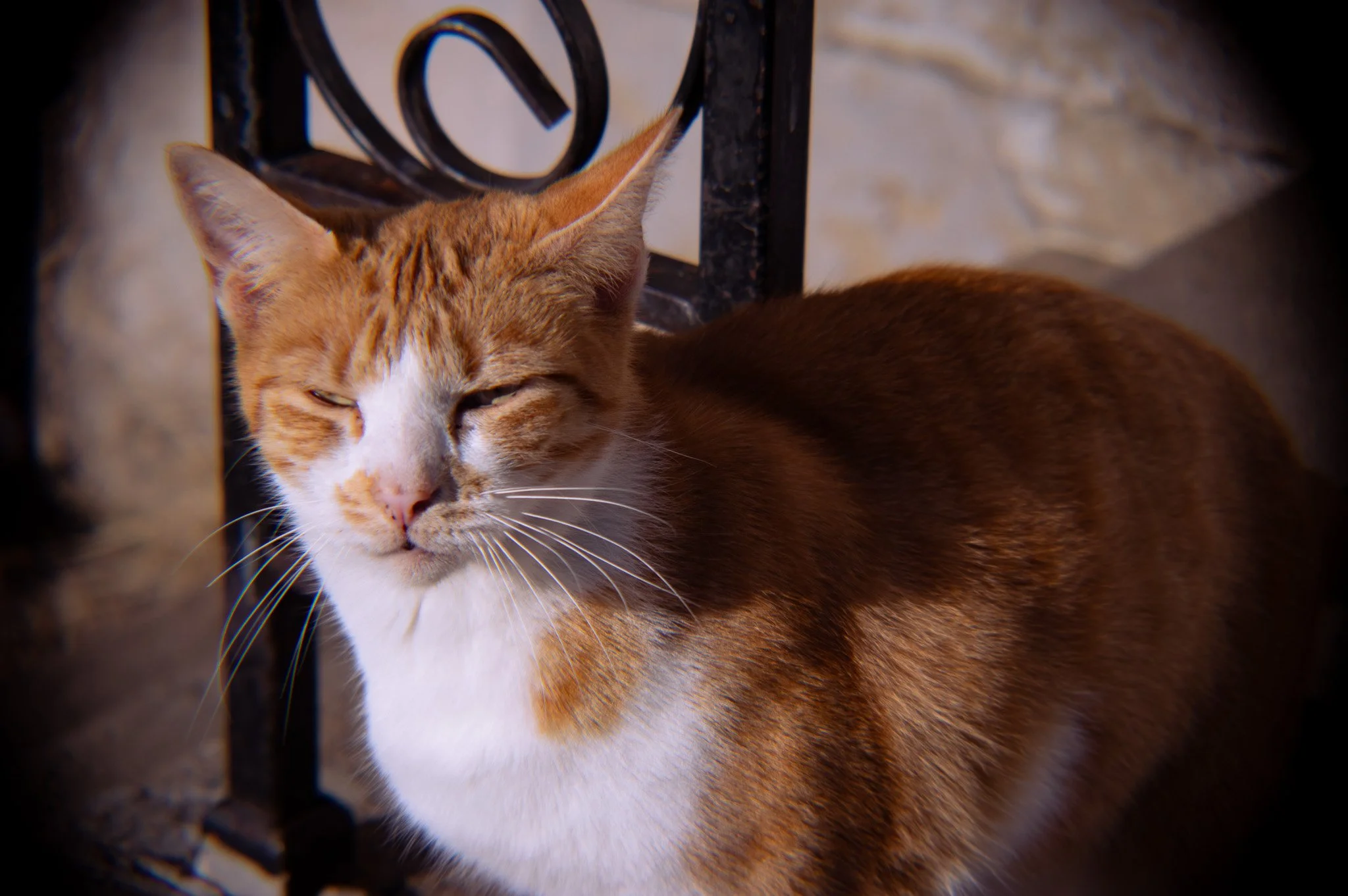 2024
Taken on a Canon EOS Rebel SL3