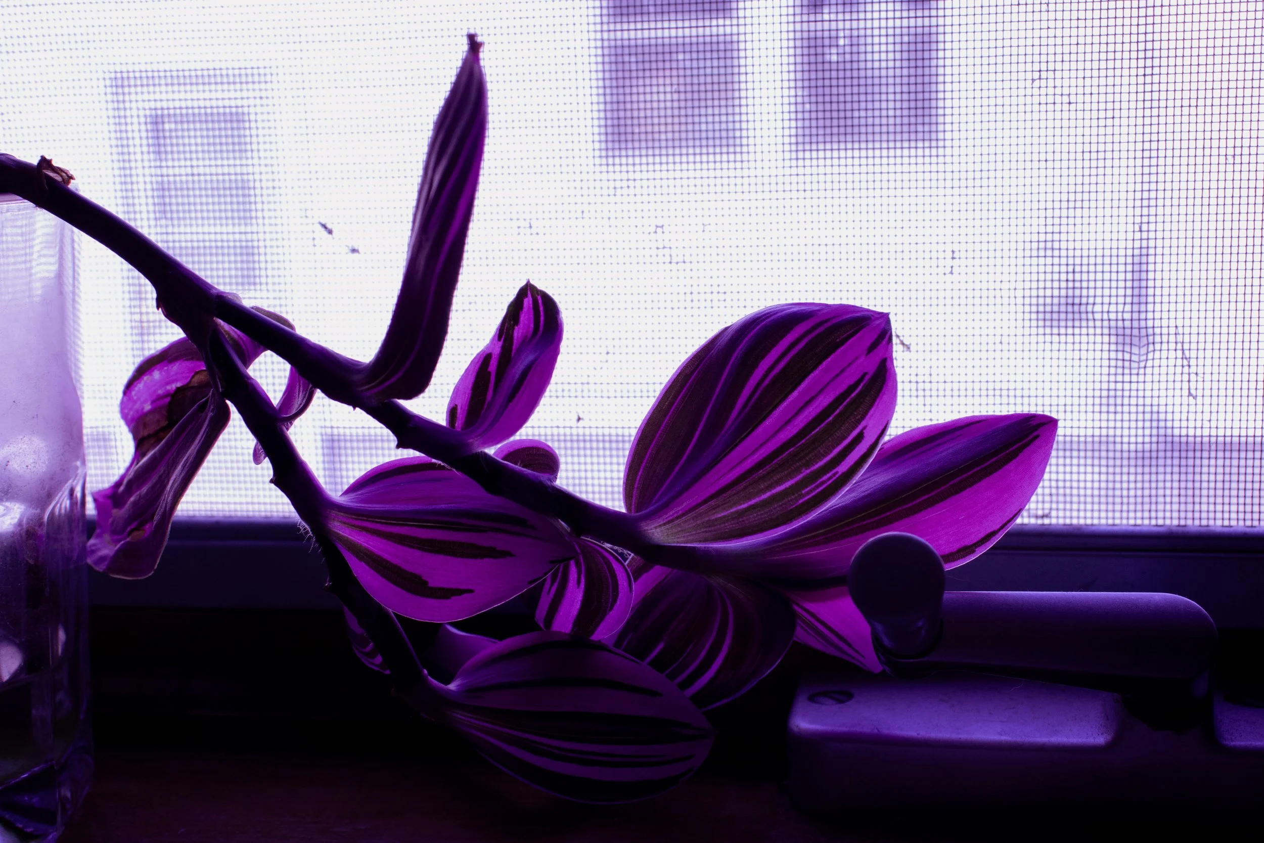 2024
Canon EOS Rebel SL3