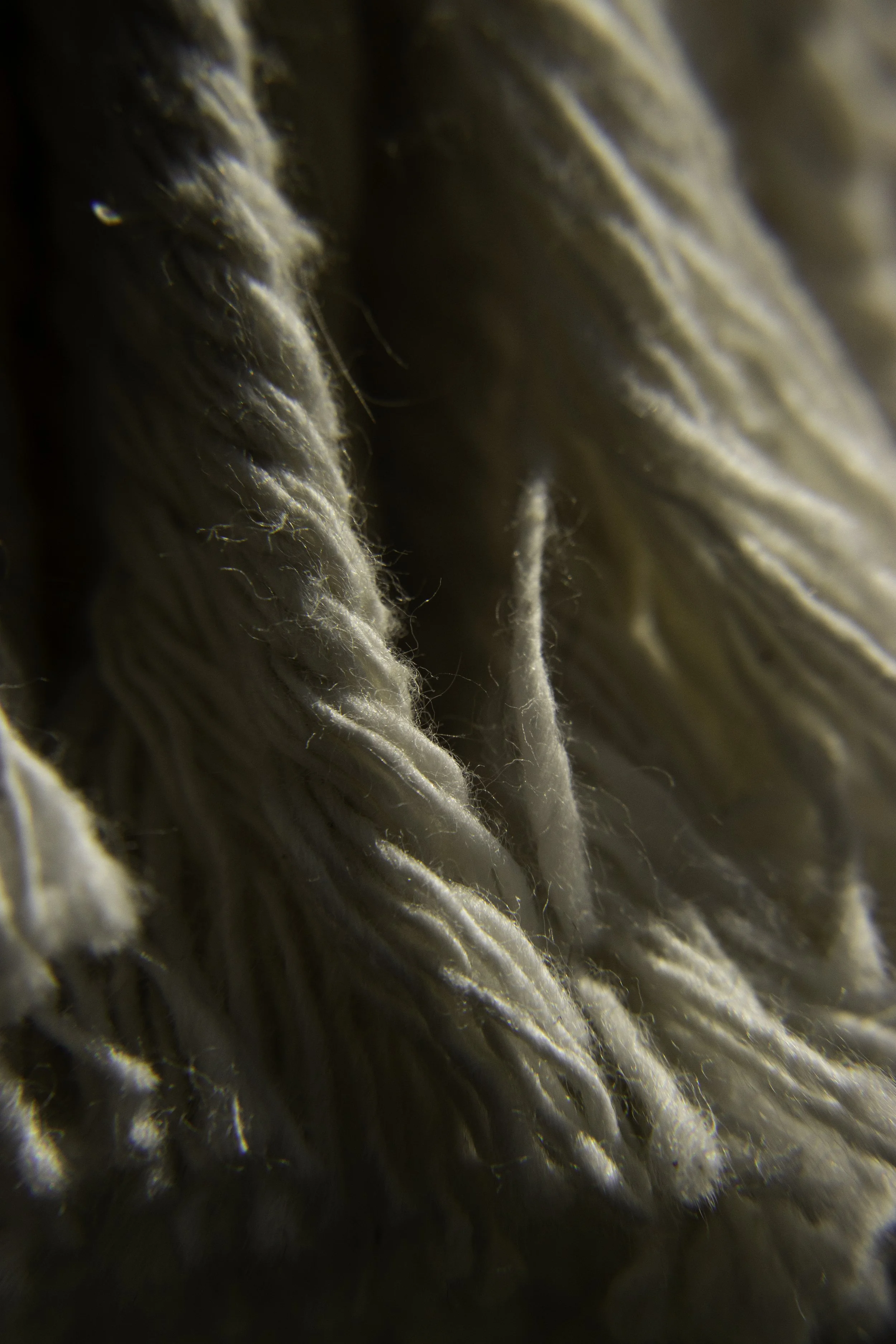 Digital Image (2023)