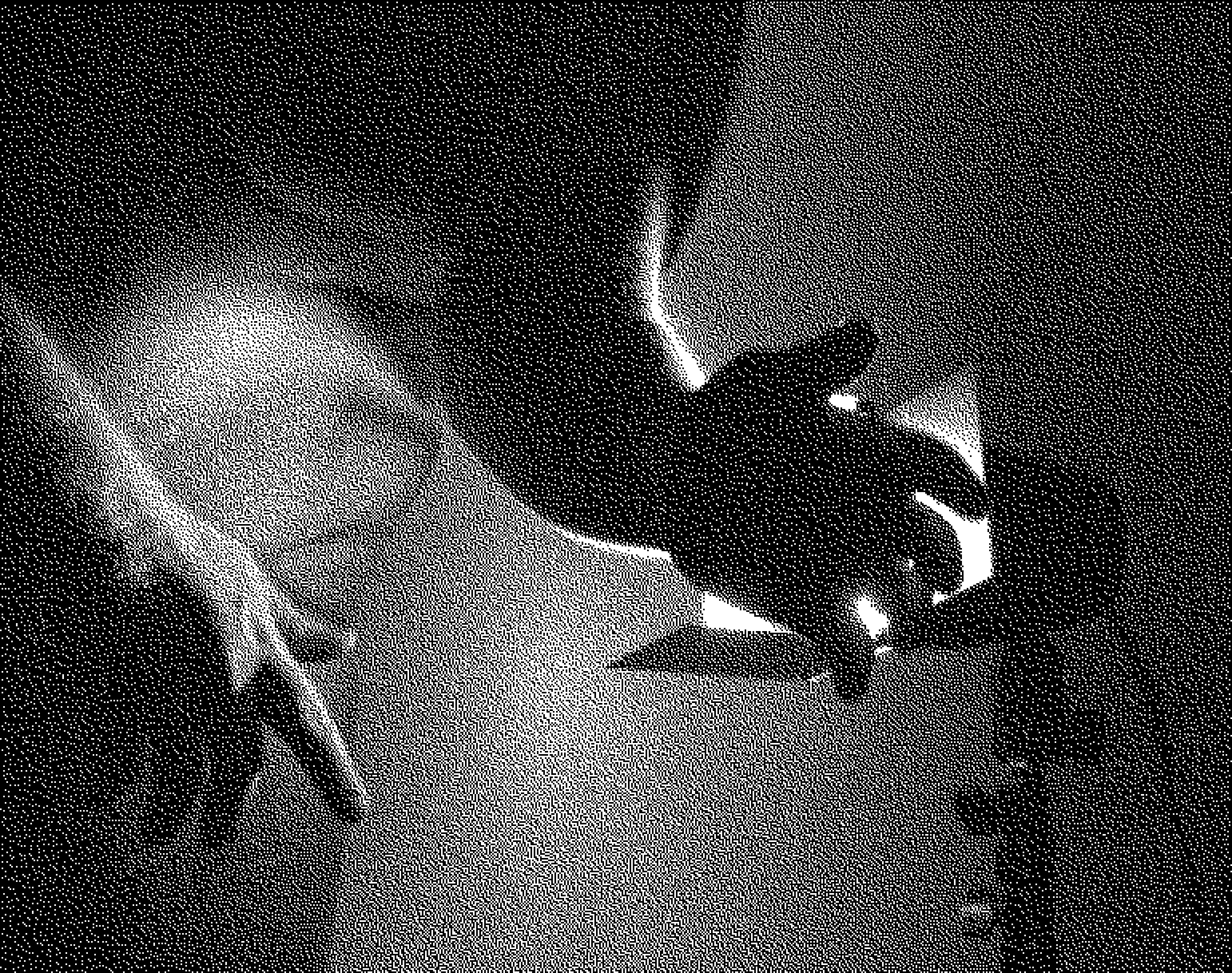 Dither Study 1: Flesh and Light
2025
Canon EOS Rebel SL3
Self Portrait