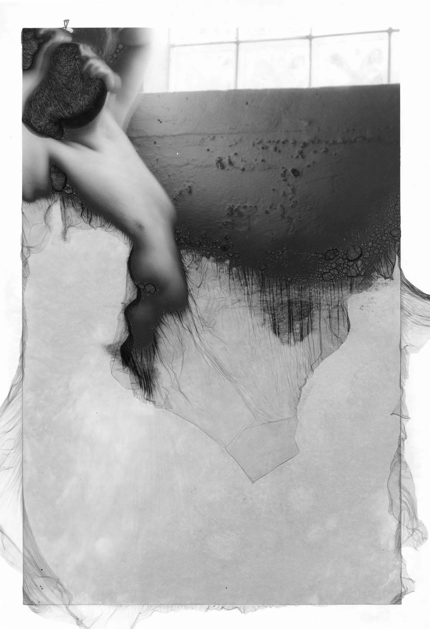 Silver Gelatin Print, Mordancaged (2023)