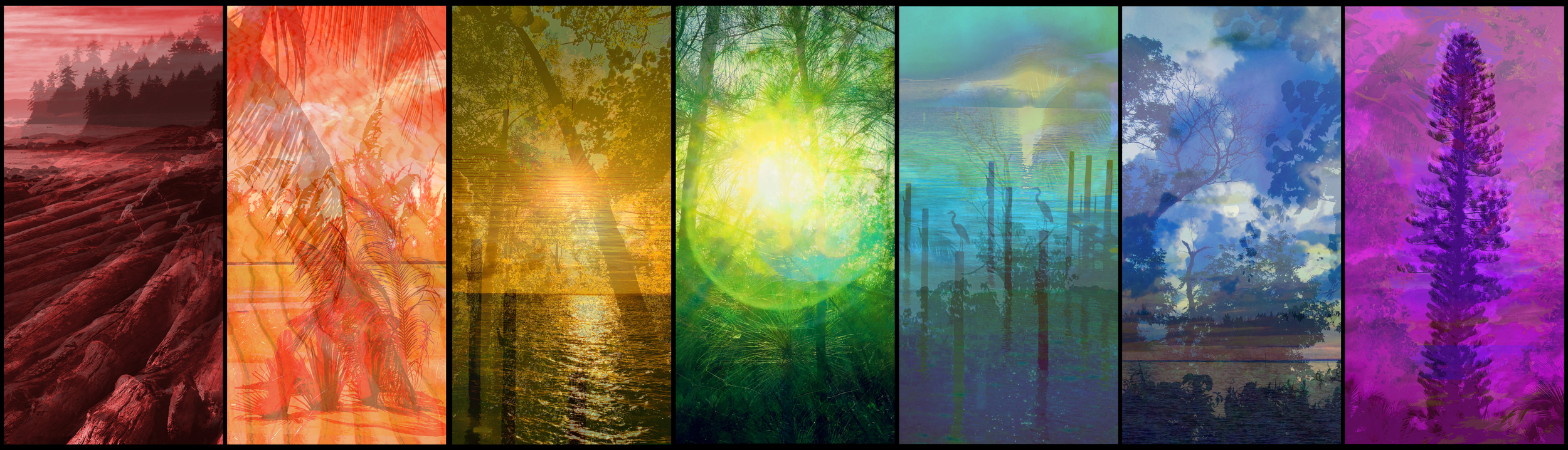 THE CHAKRA'S COLLECTION