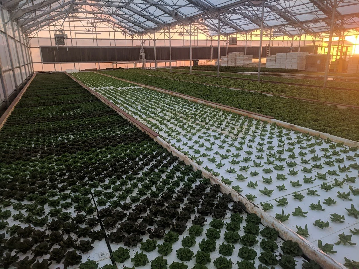 IMG_20181126_170729 (1).jpg