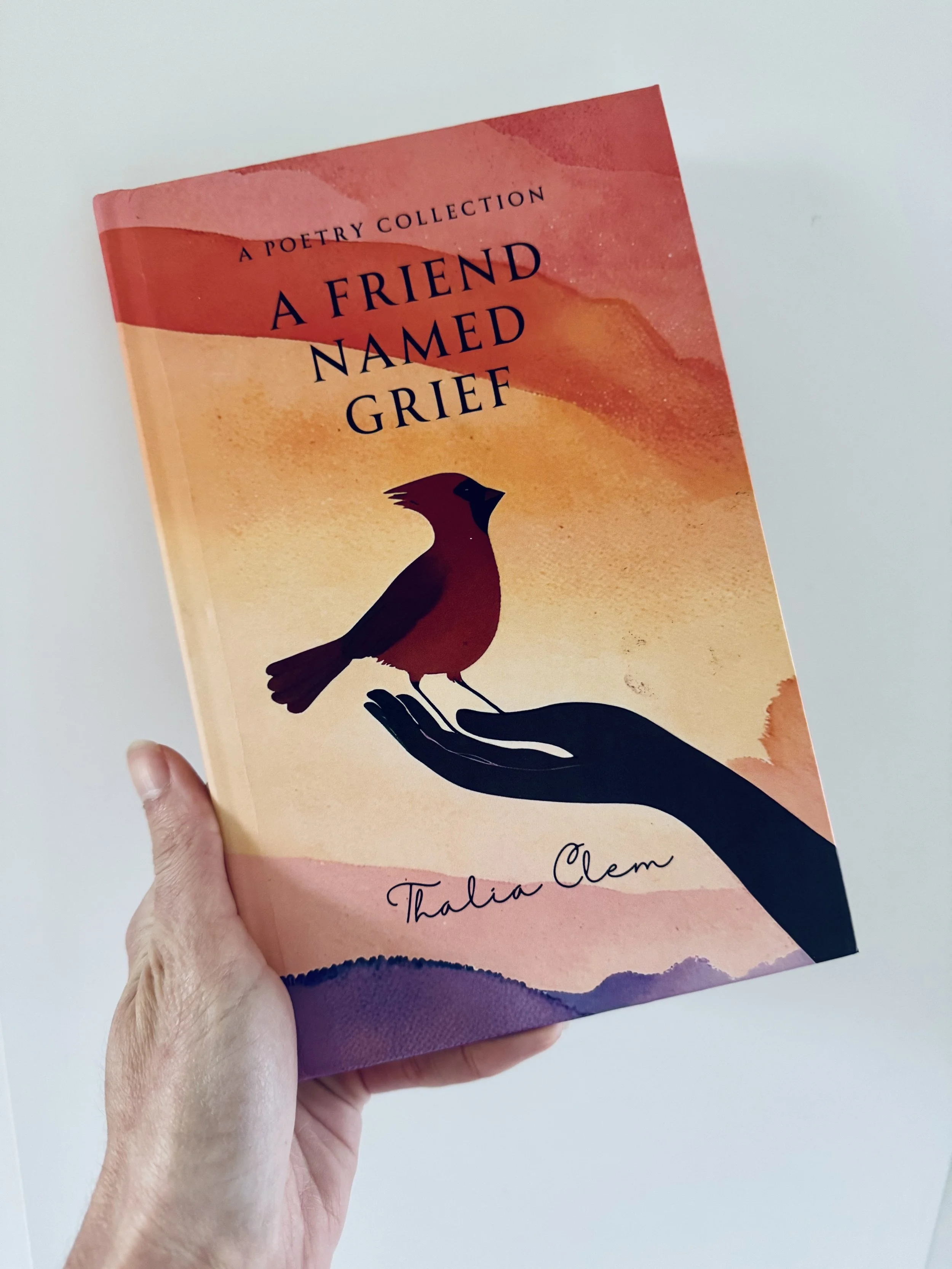 *cozy ink club* Book Review: A Friend Named Grief by Thalia Clem