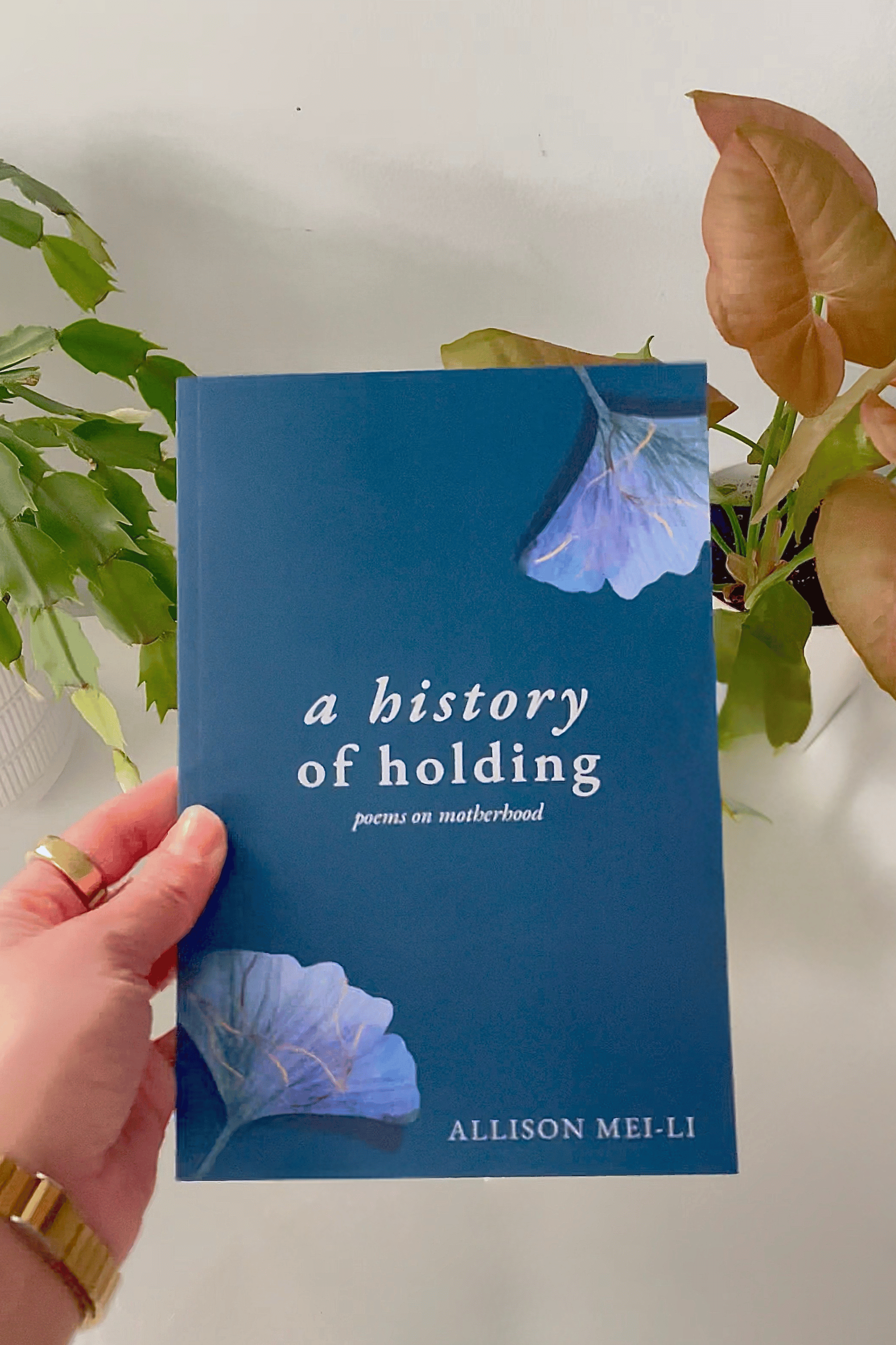 *cozy ink club* Book Review: a history of holding by Allison Mei-Li