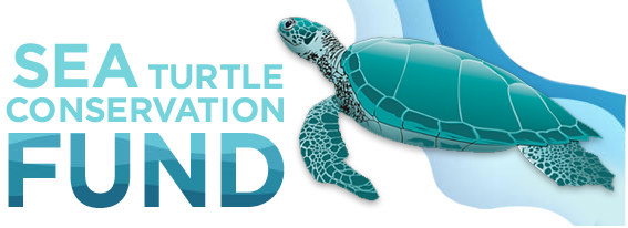 Sea Turtle Conservation Fund