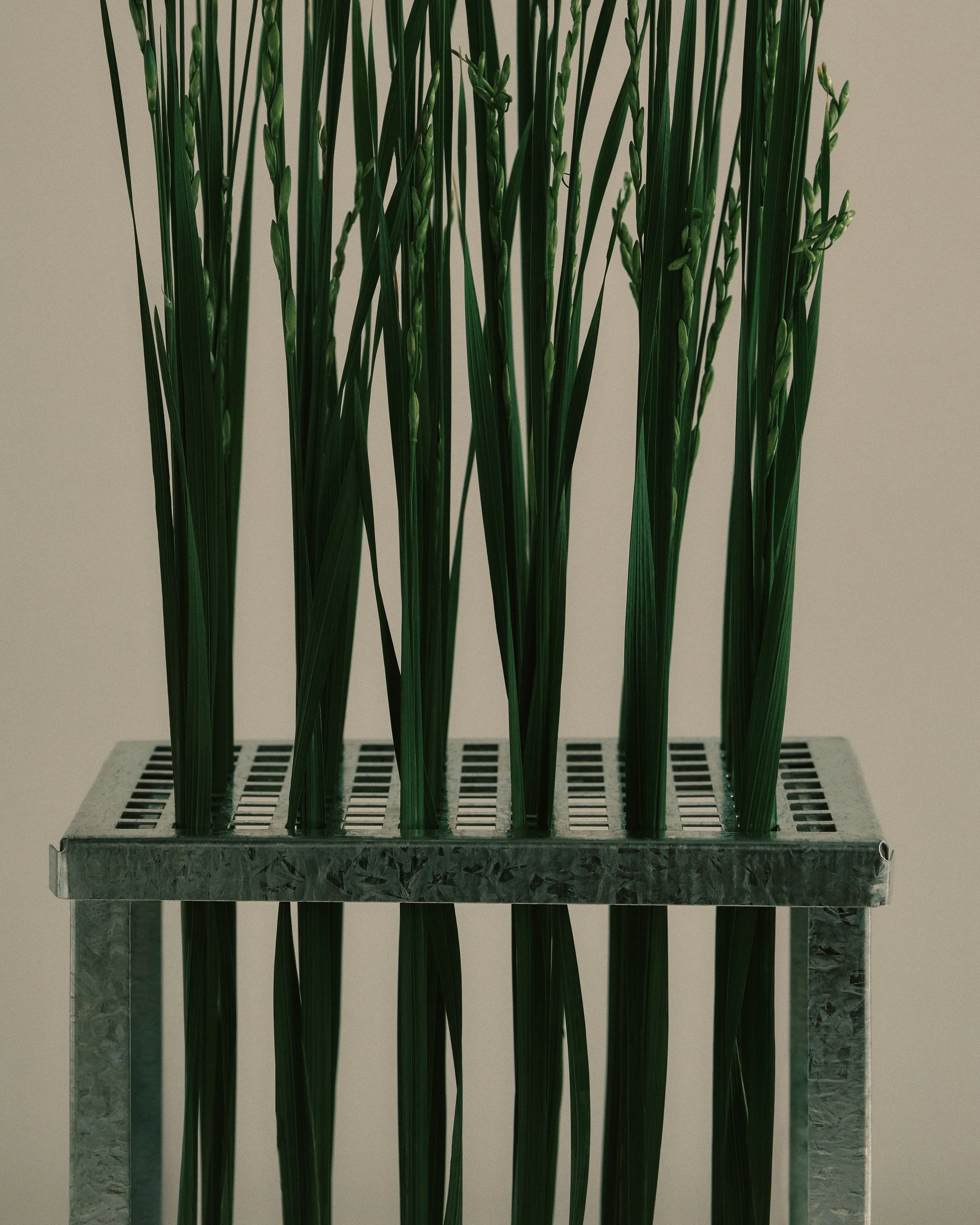 151125_SF x OB_Studio Test Shoot_0241.jpg