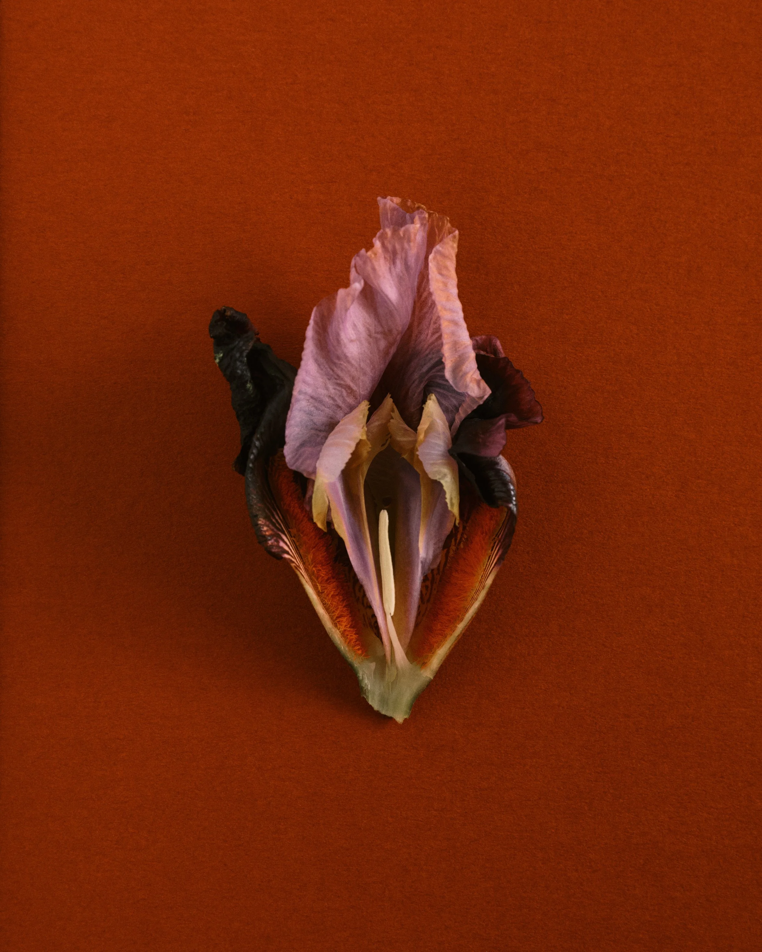 151125_SF x OB_Studio Test Shoot_0190.jpg