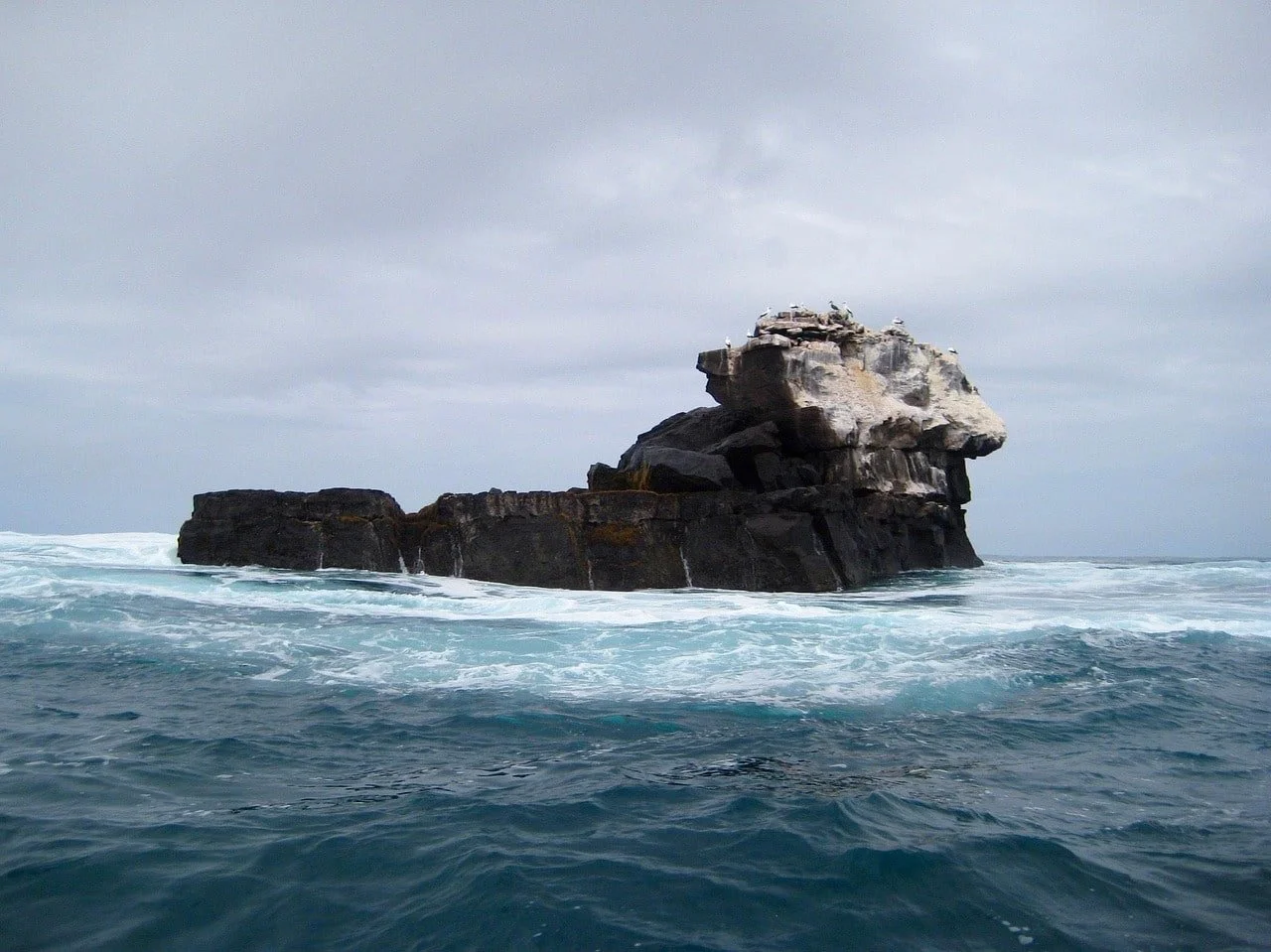 galapagos-2113915_1280-min.jpg
