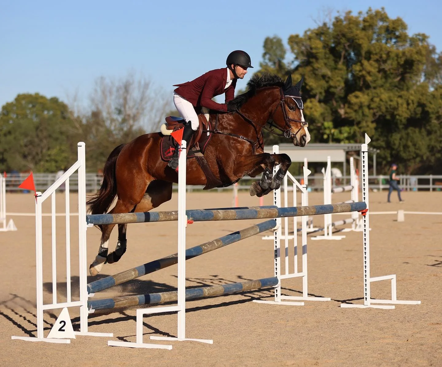 jumping 2.jpg