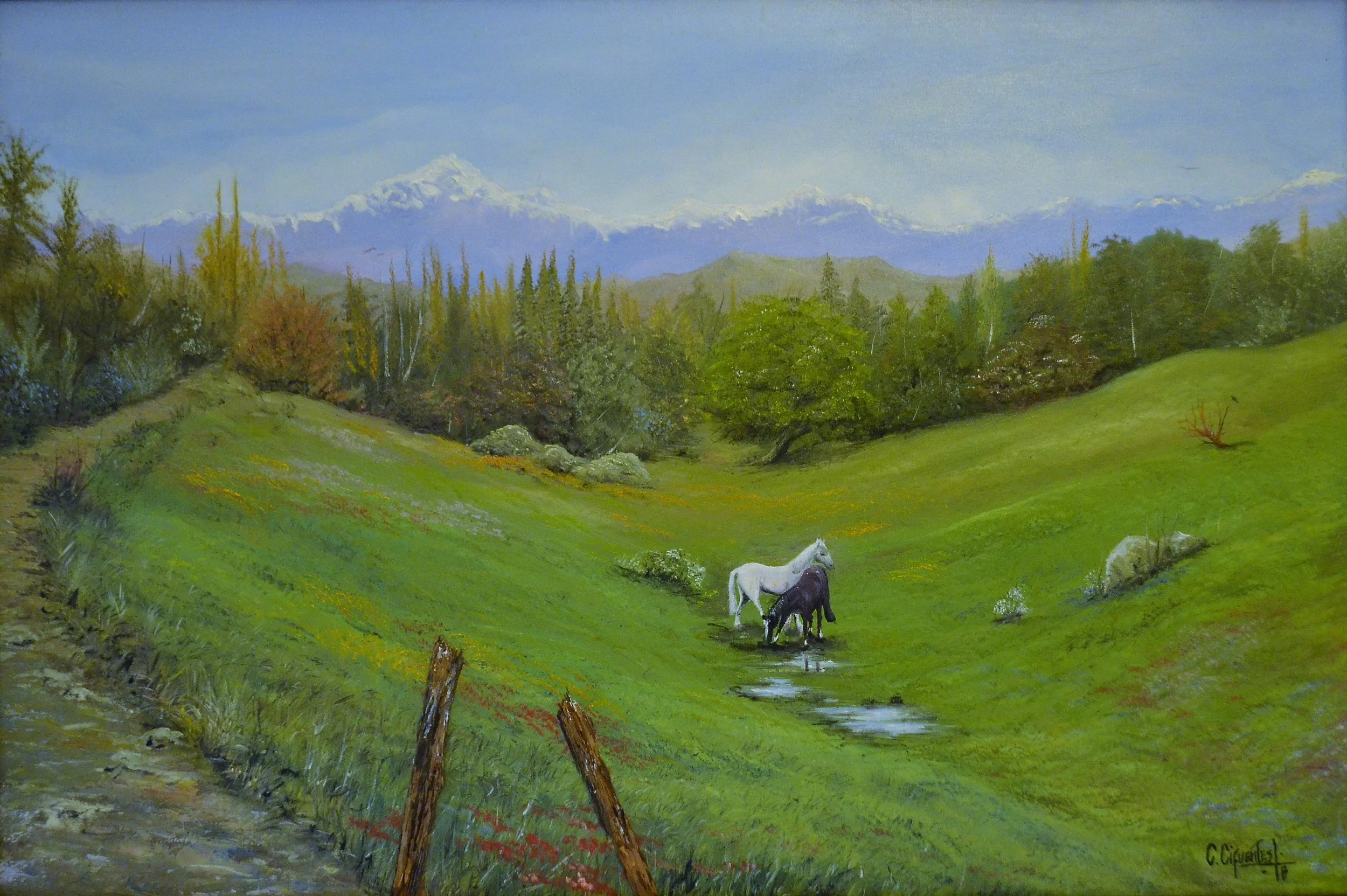 Central Valley , chile .jpg