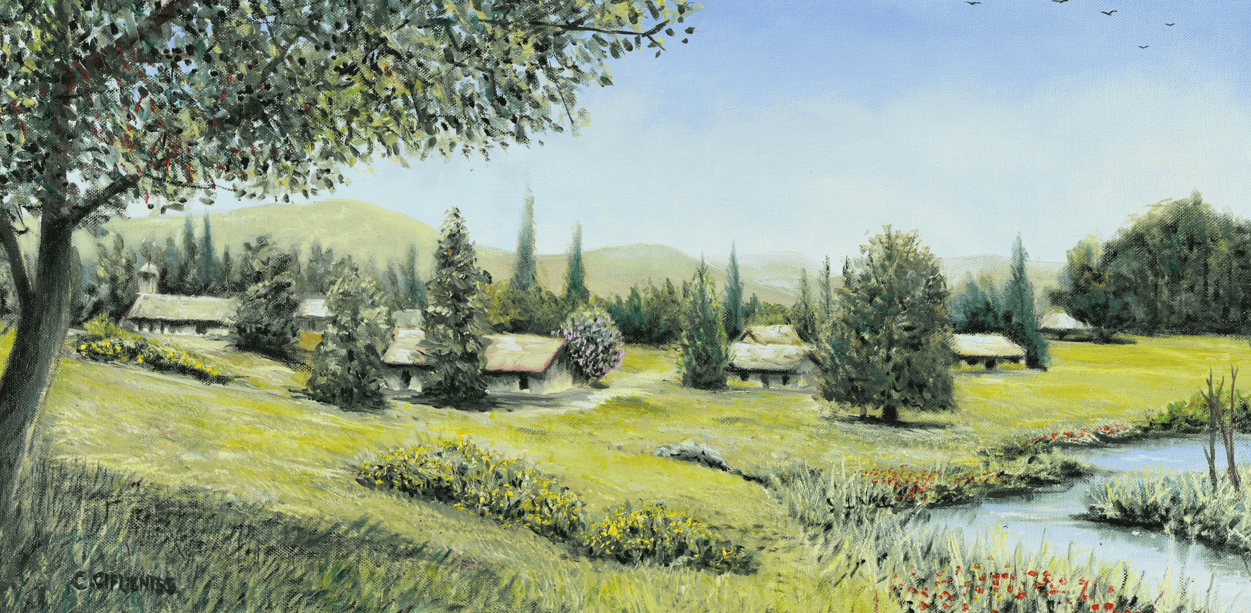 freecompress-DSC_0964.png