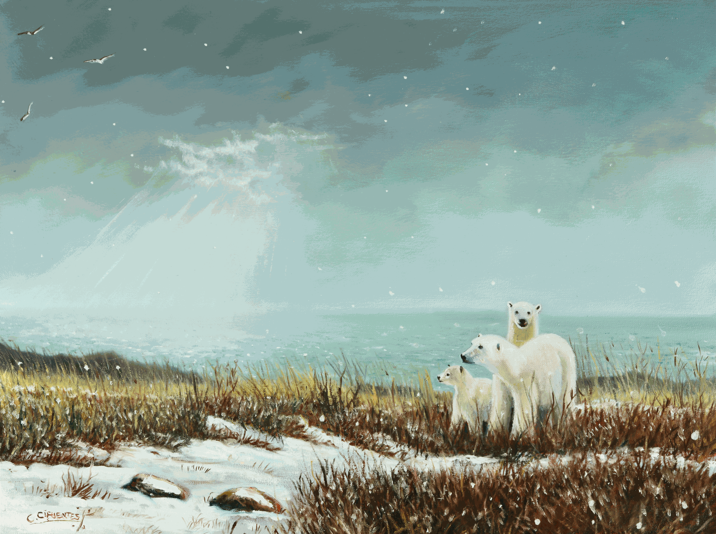 freecompress-DSC_0893.png