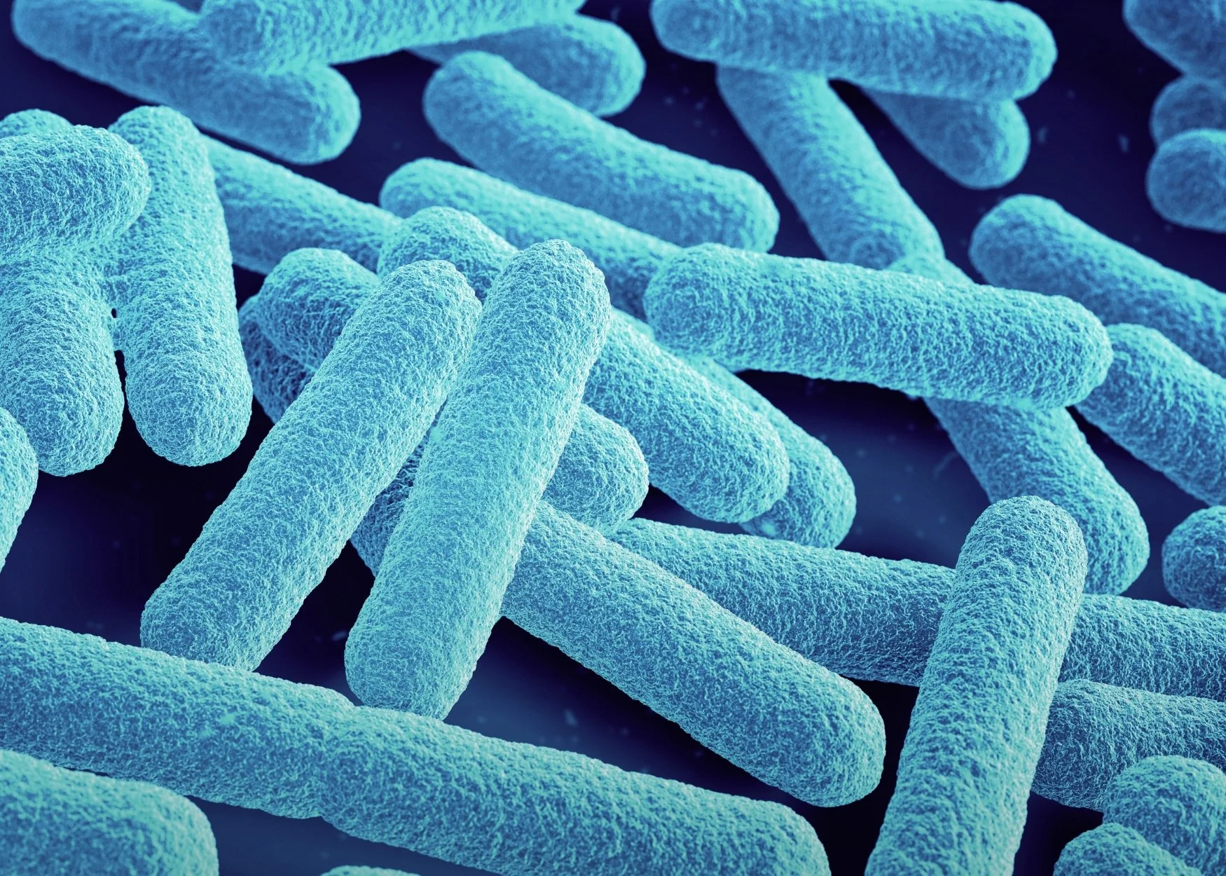 What Is Legionella and Who Helps Manage the Risk in Ohio