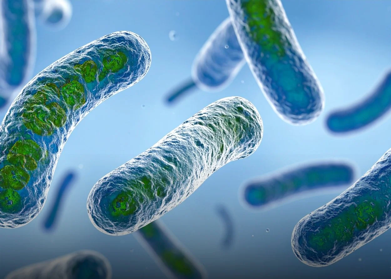 What Every Facility Should Know About Legionella Growth
