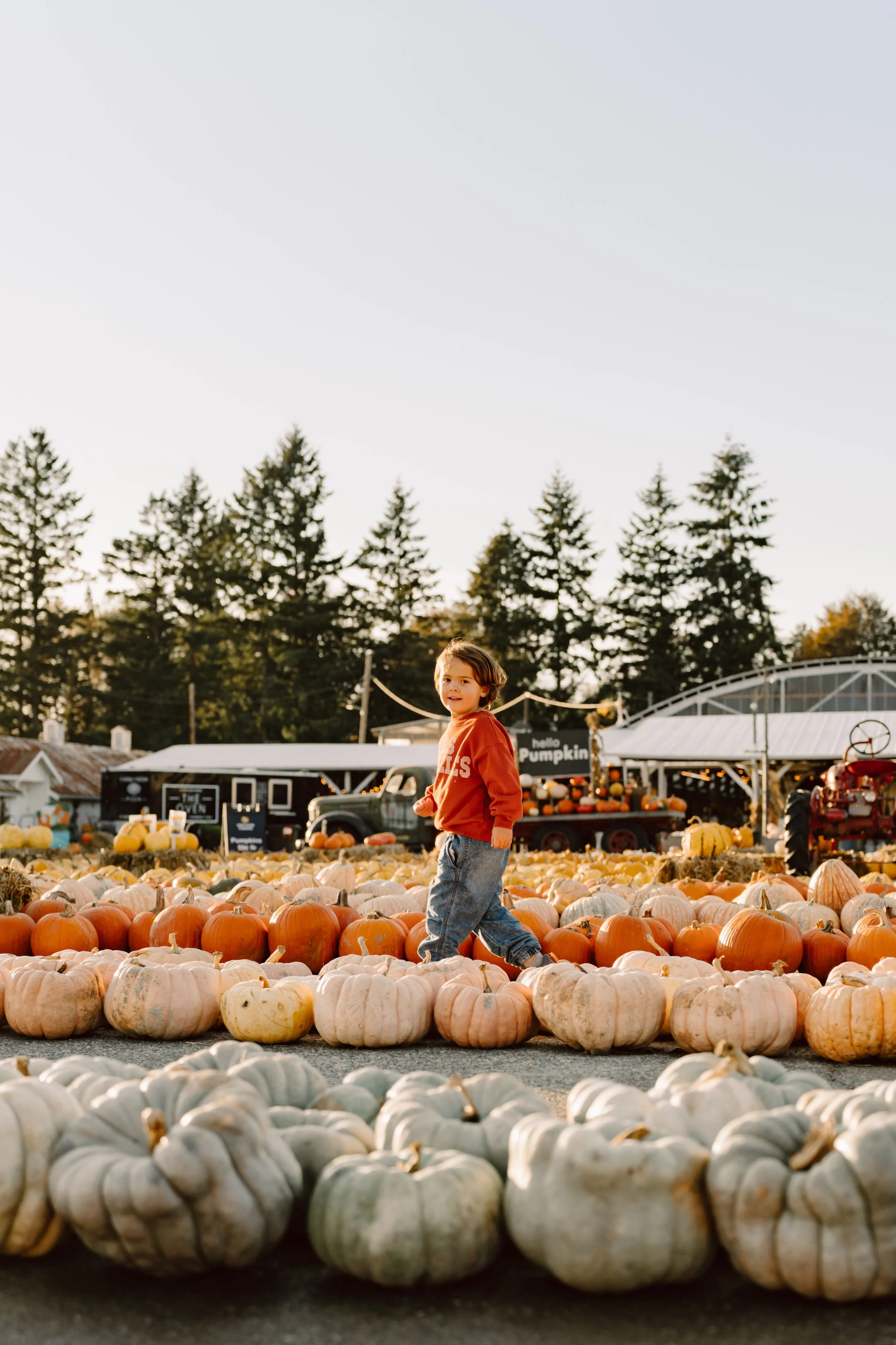 Jude%20at%20the%20Pumpkin%20Patch%20%7C%202024-47.jpg