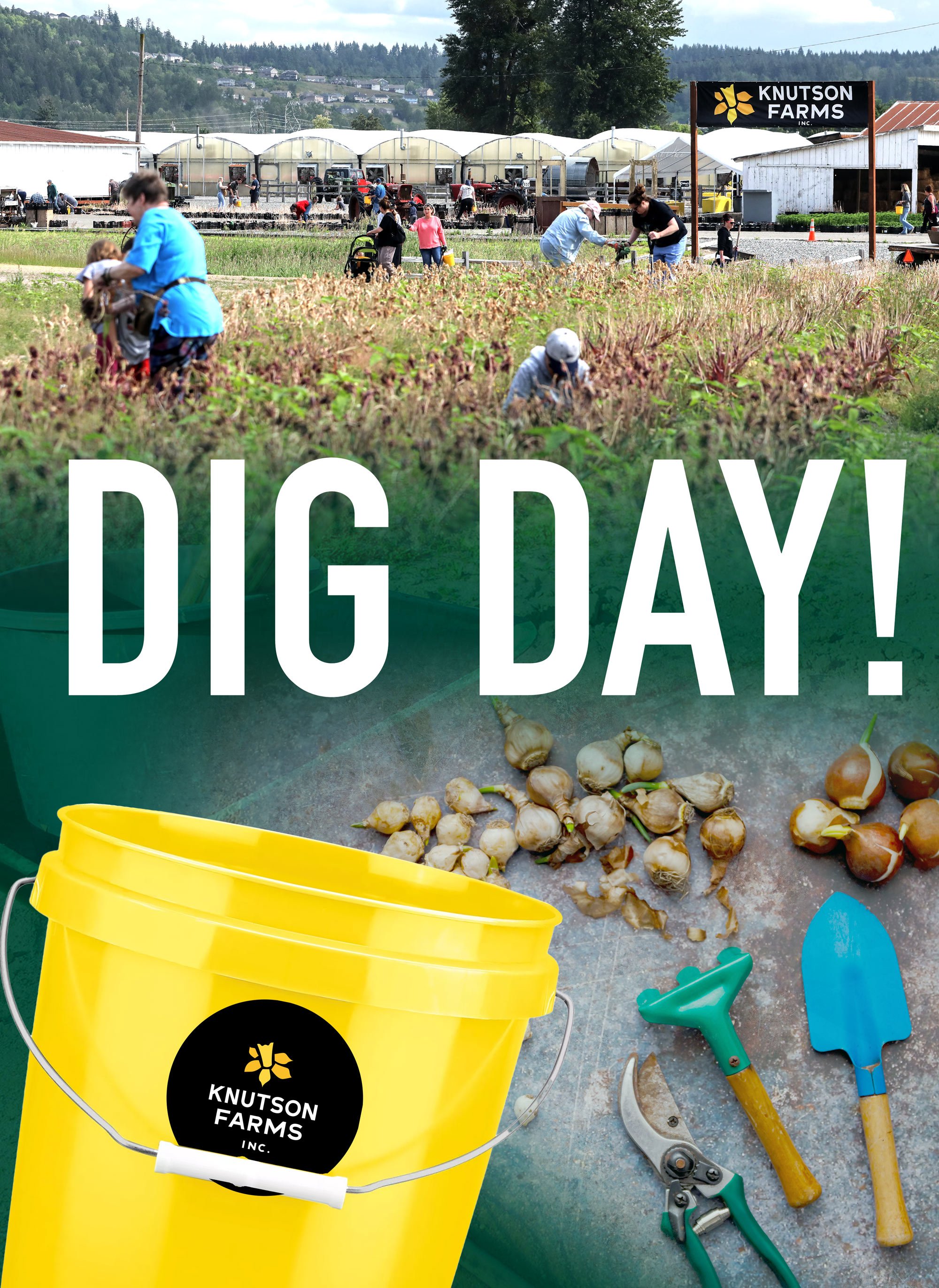 DIG DAY EVENT