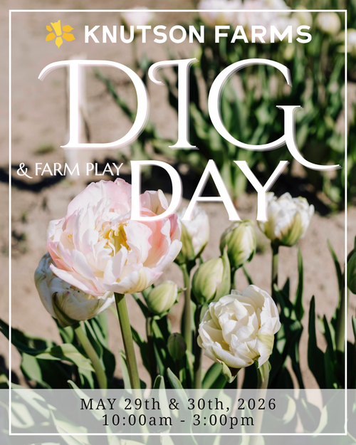 DIG DAY & FARM PLAY — KNUTSON FARMS INC